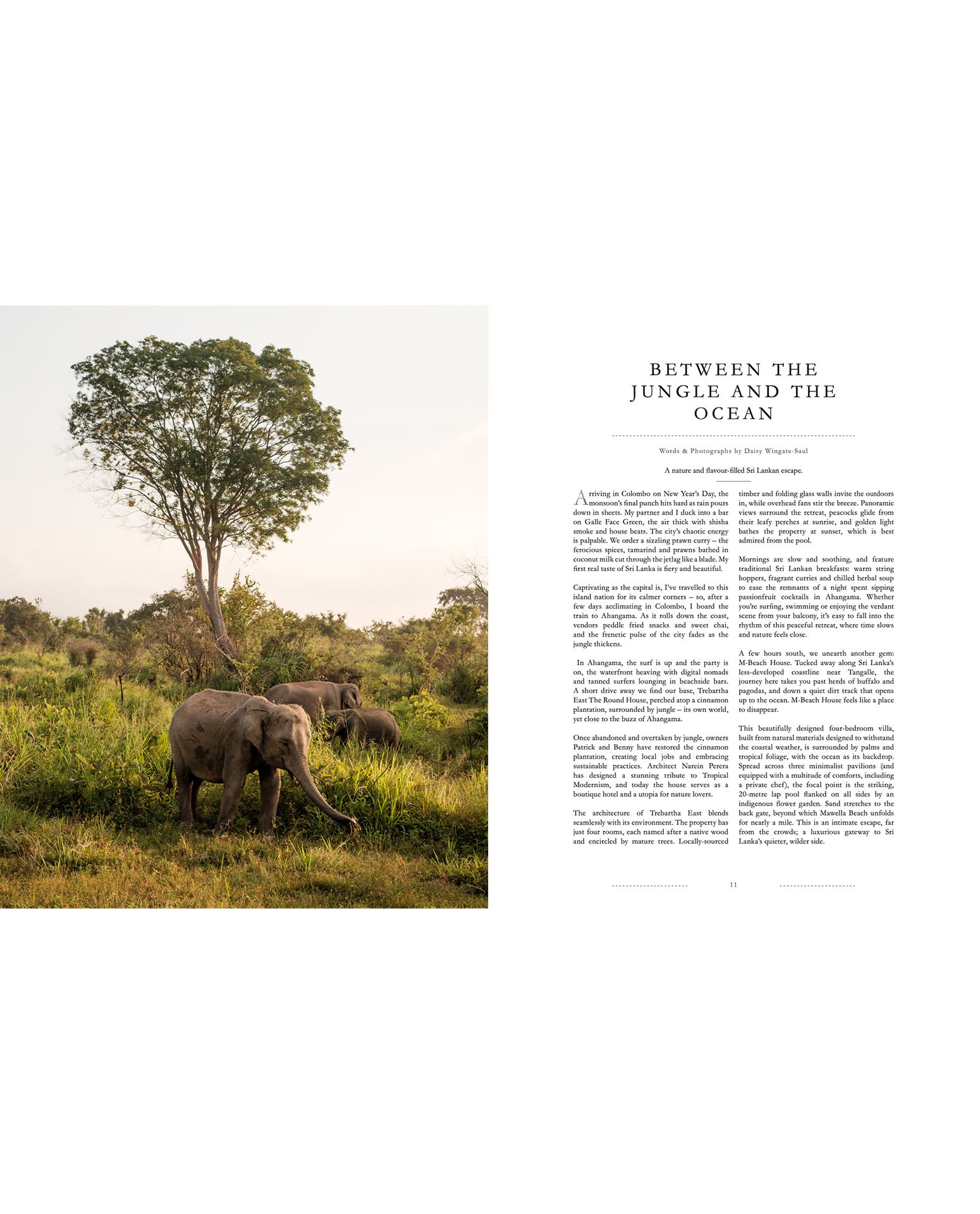 Lodestars-anthology-islands-spread-sri-lanka2.jpg