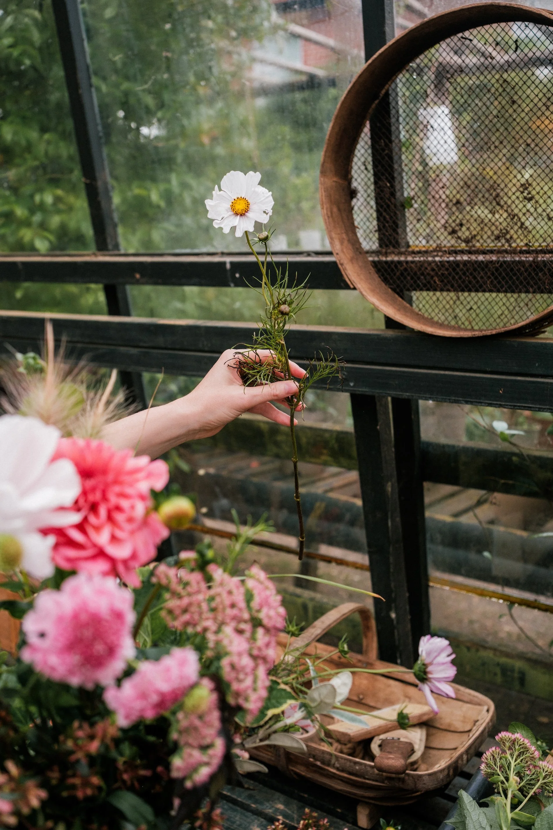 A white flower is held in a hand above a table piled high with other blooms, ready to be arranged in a bouquet