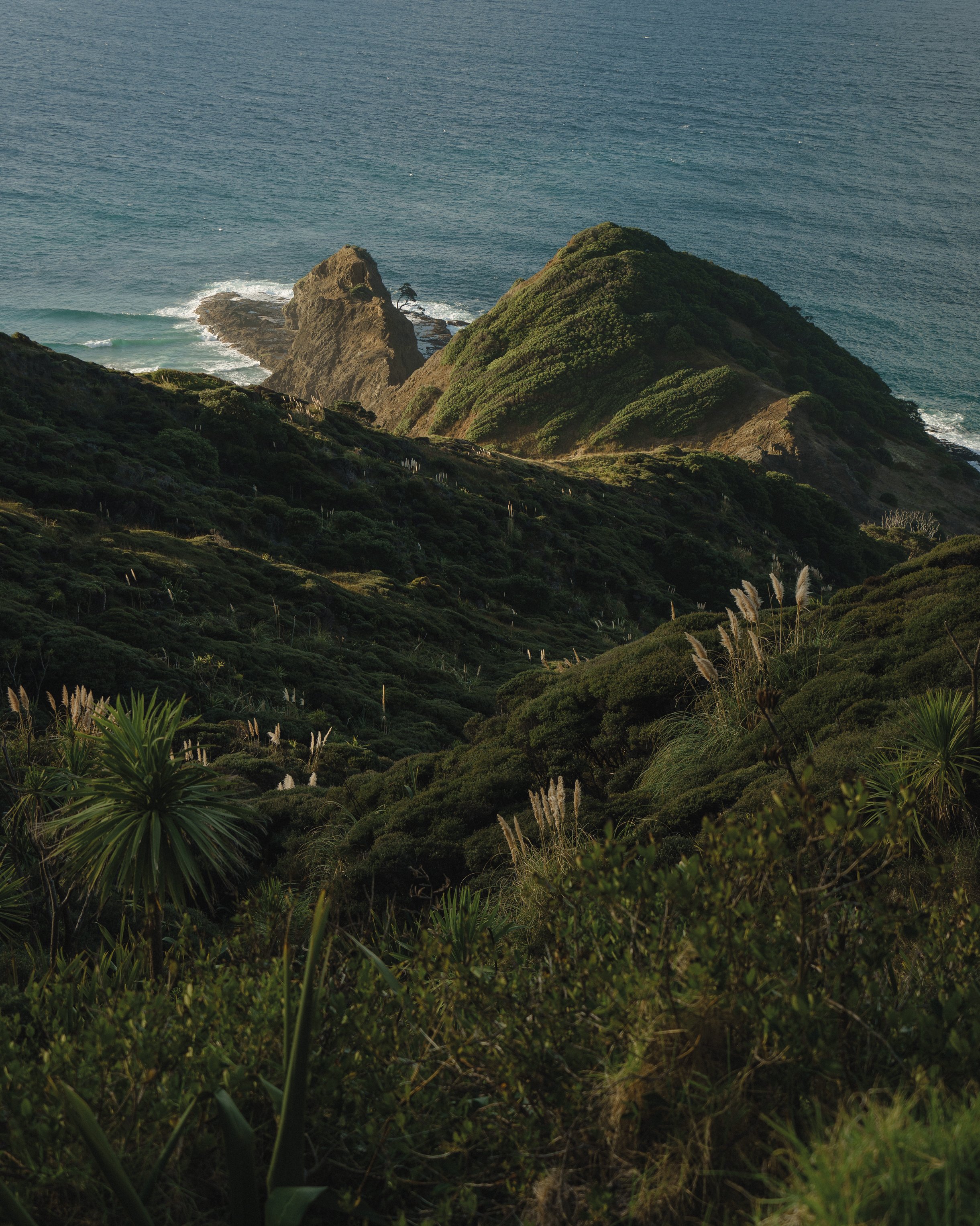 Cape-Reinga-Coast-2.jpg