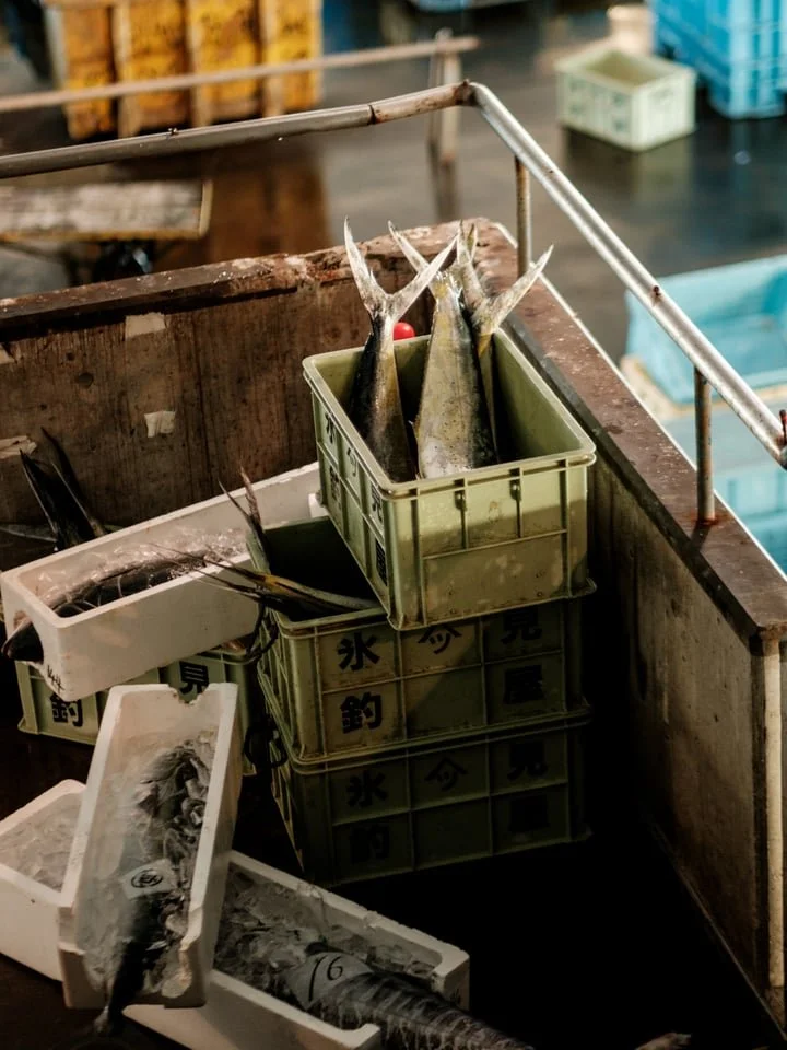 Boxes of freshly caught fish piled up at Himi Fishing Port, Japan