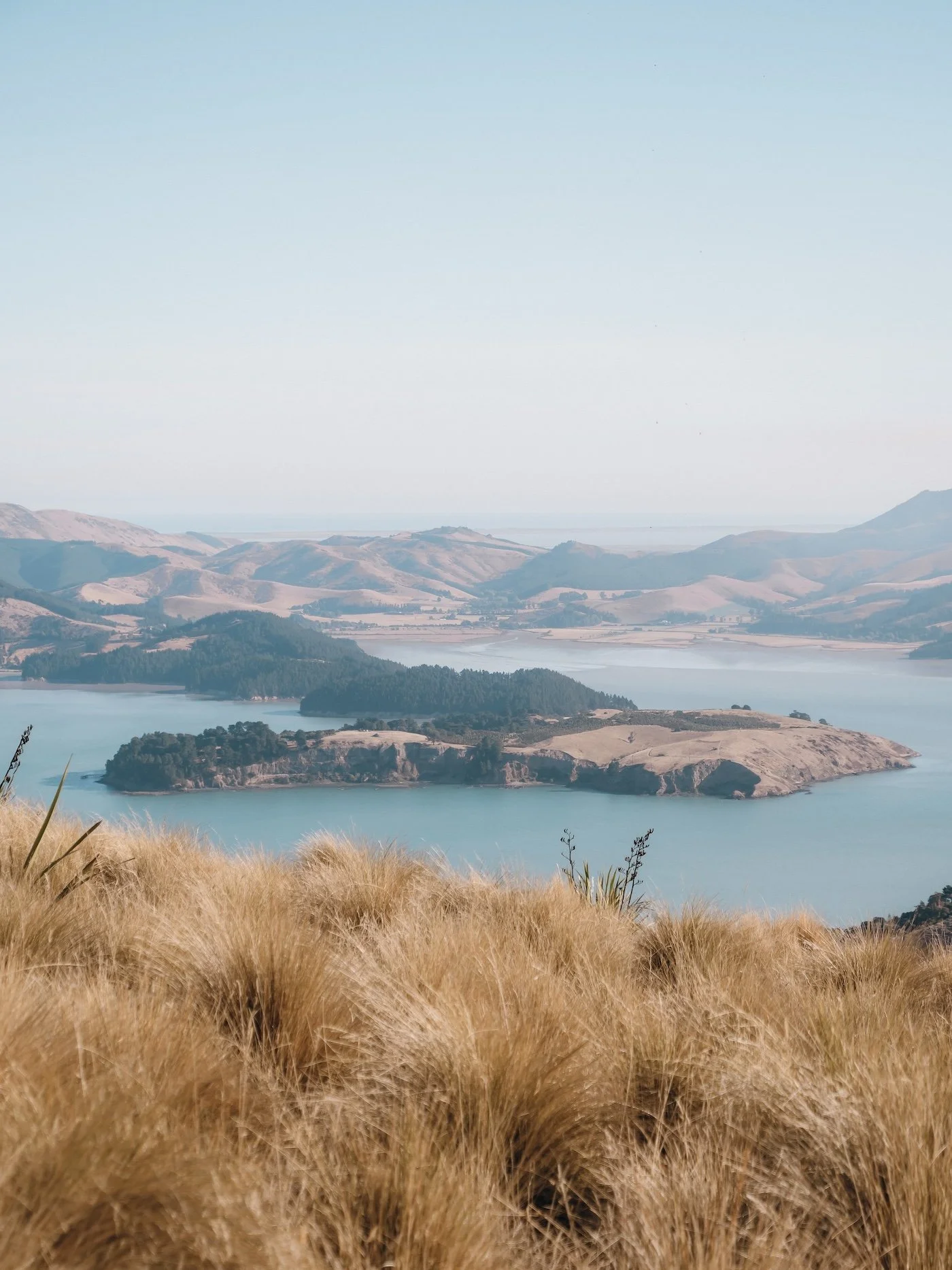 The view of a pine-dotted peninsula stretching into a blue lake. The grasses and trees are in autumnal colours.