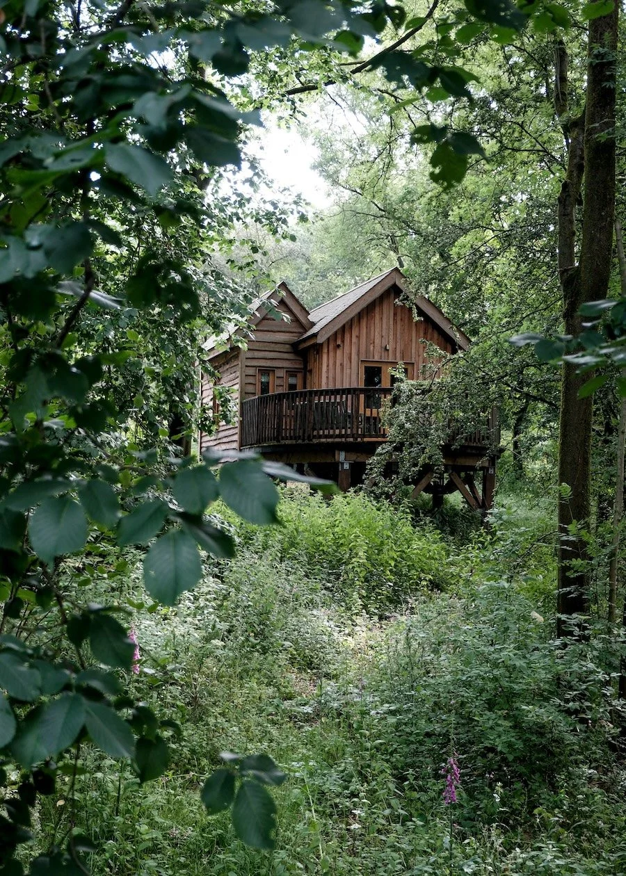 A wooden, forest-surrounded cabin, balanced on stilts, can be seen through a gap in the leaves.