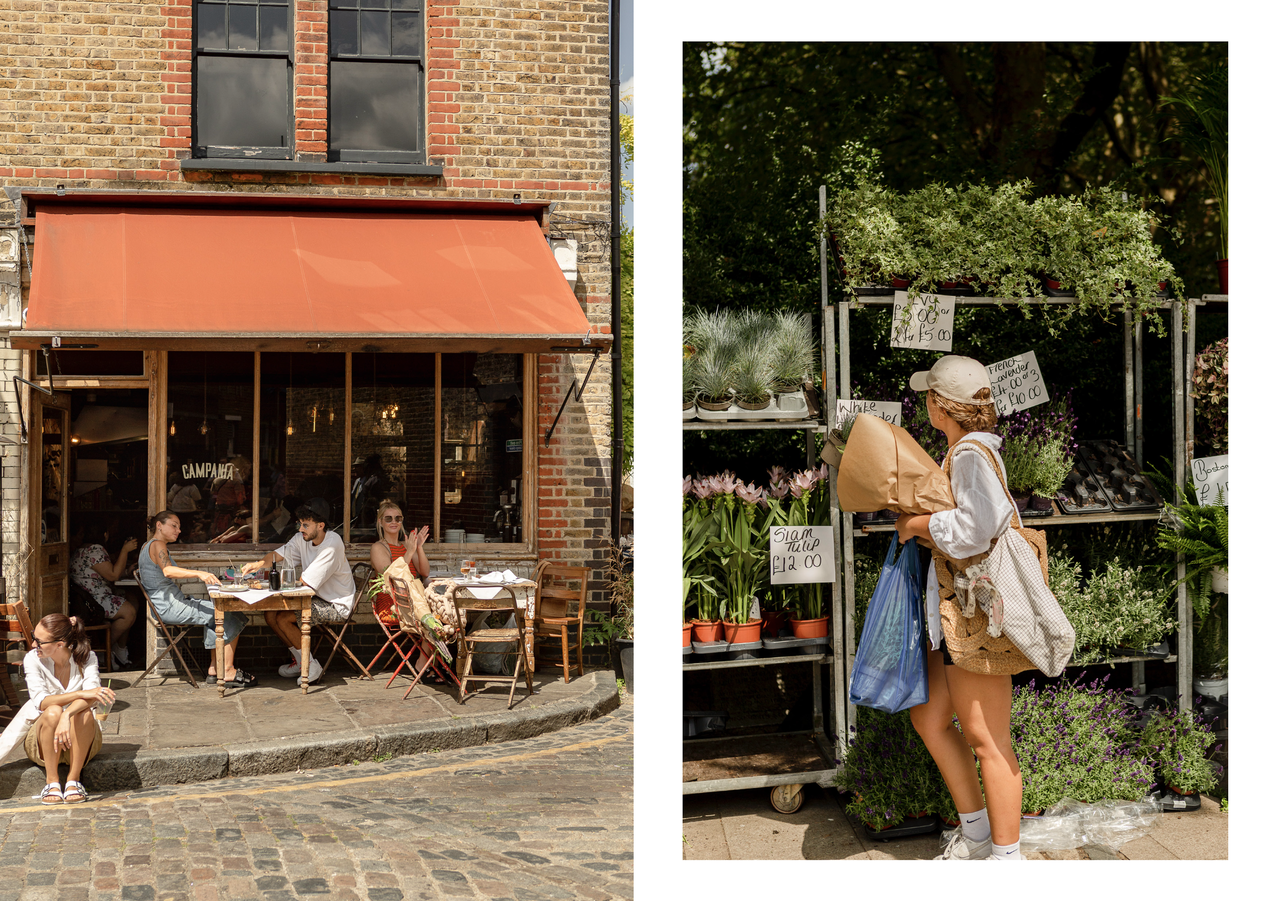 Screenshot 2025-08-18 at 2.53.33 pm.png