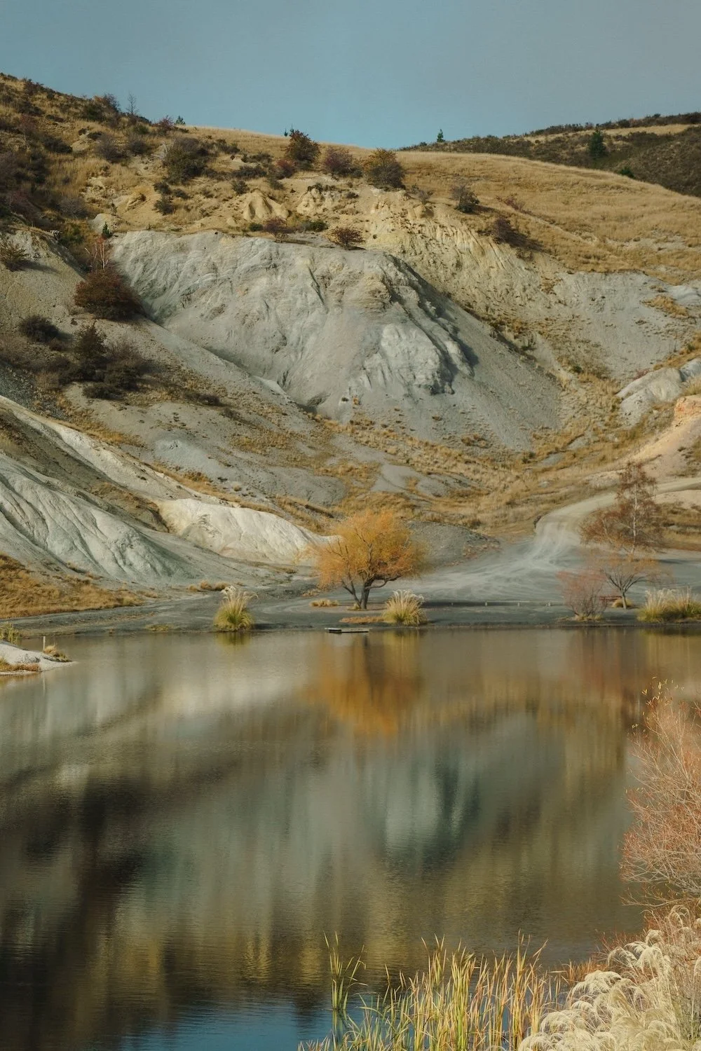 A tree and rocky hill is reflected in a still lake on New Zealand's South Island