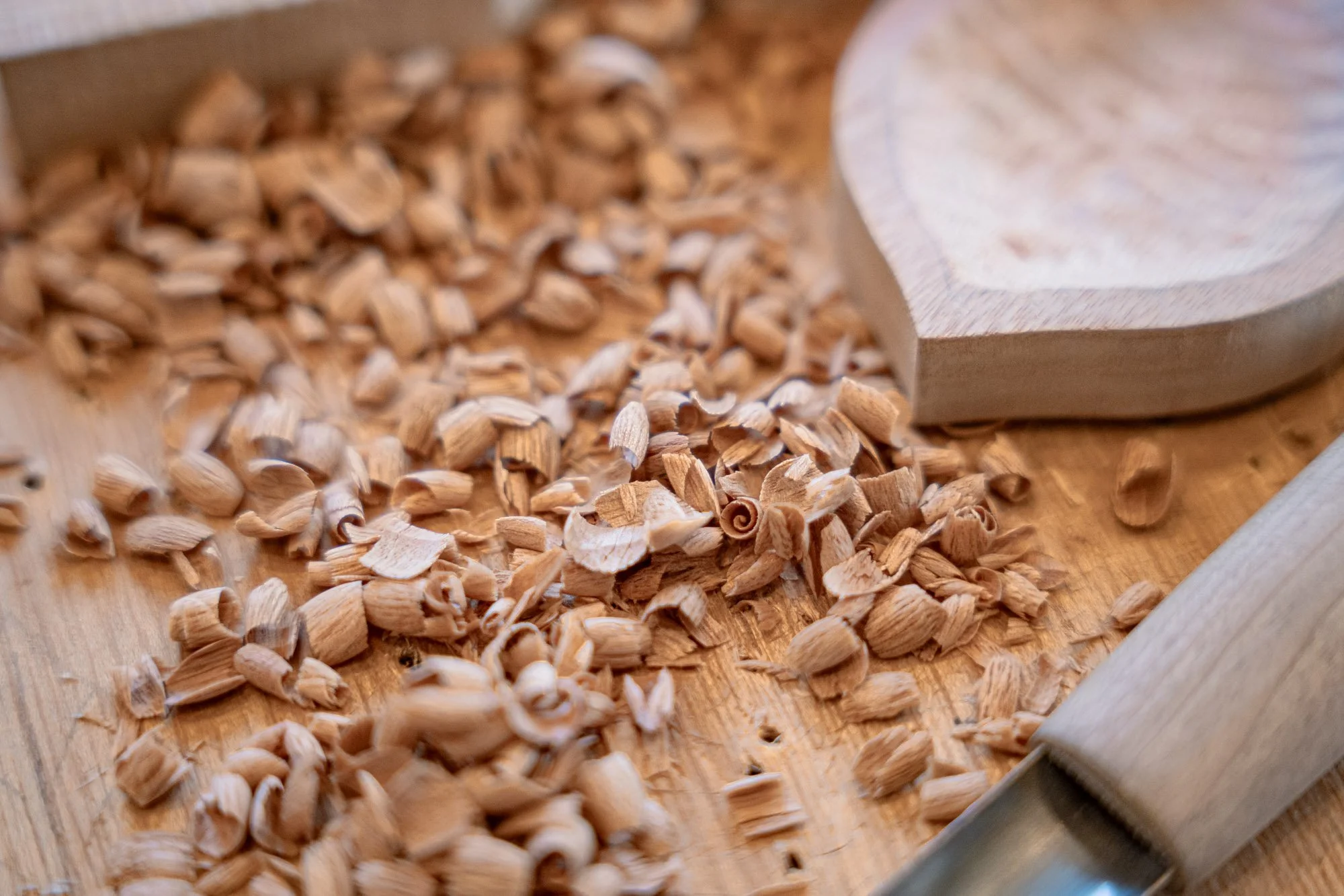 Curls of camphor tree in a woodcarvers studio