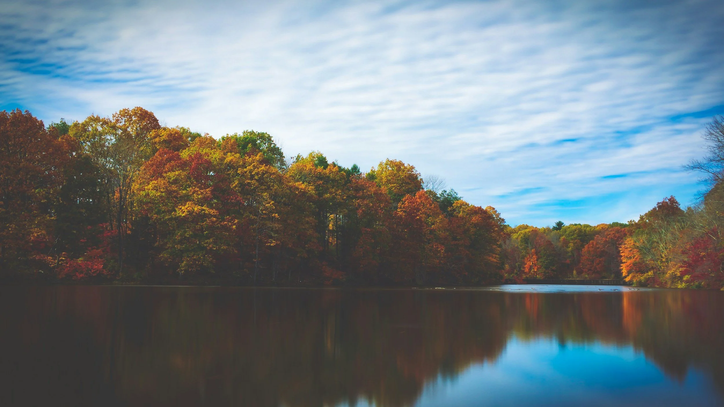 unsplash-image-fJNiqeAyZ4s.jpg