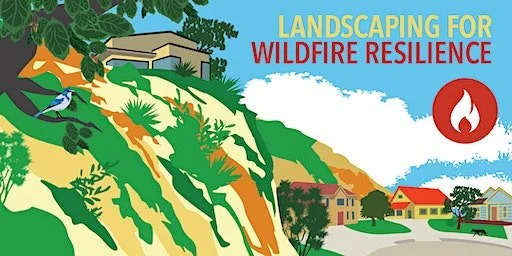 Igniting Change: Strengthening Hawaii's Resilience Against Wildfires