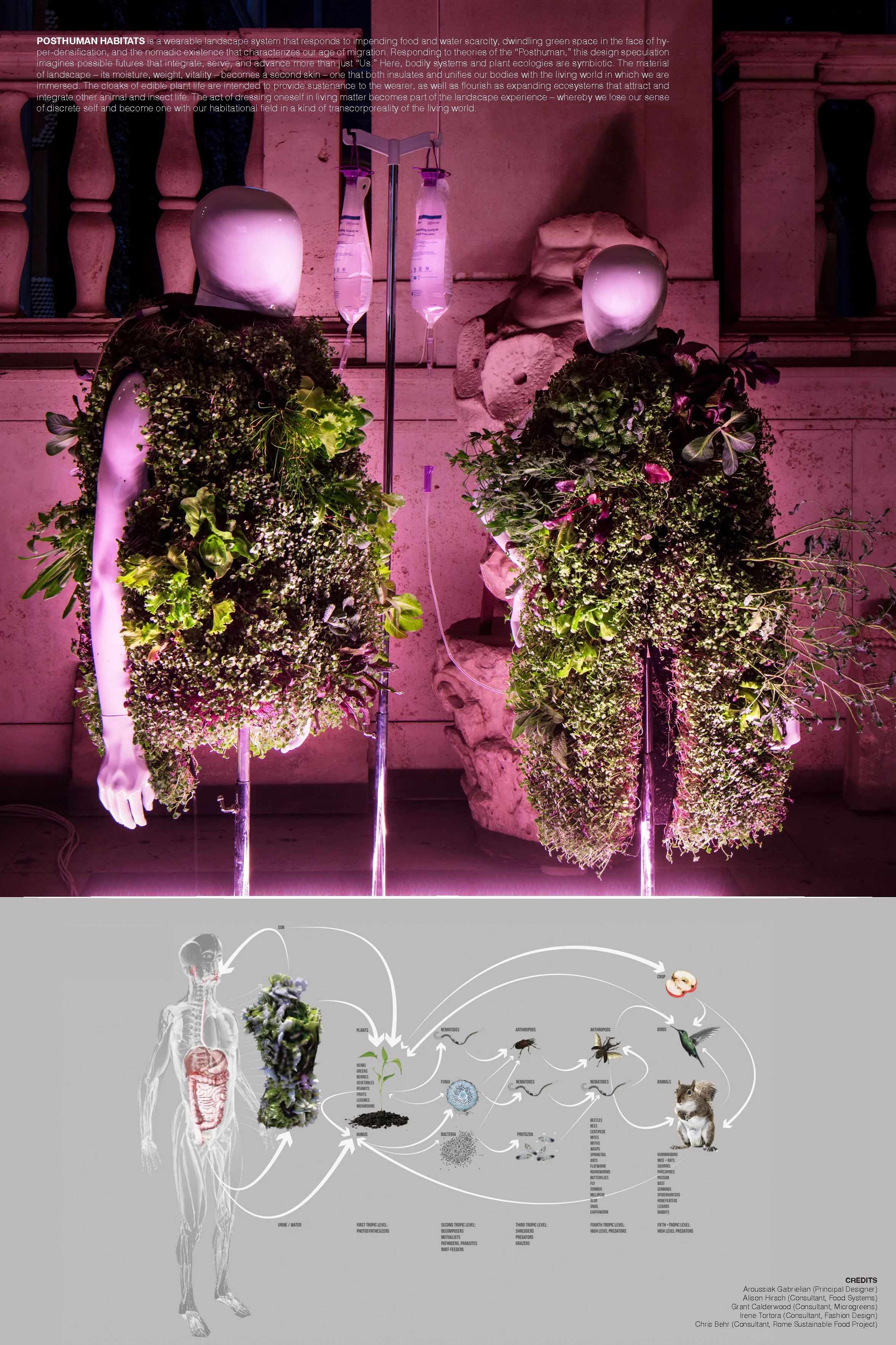 2nd - 1-Posthuman Habitats.jpg