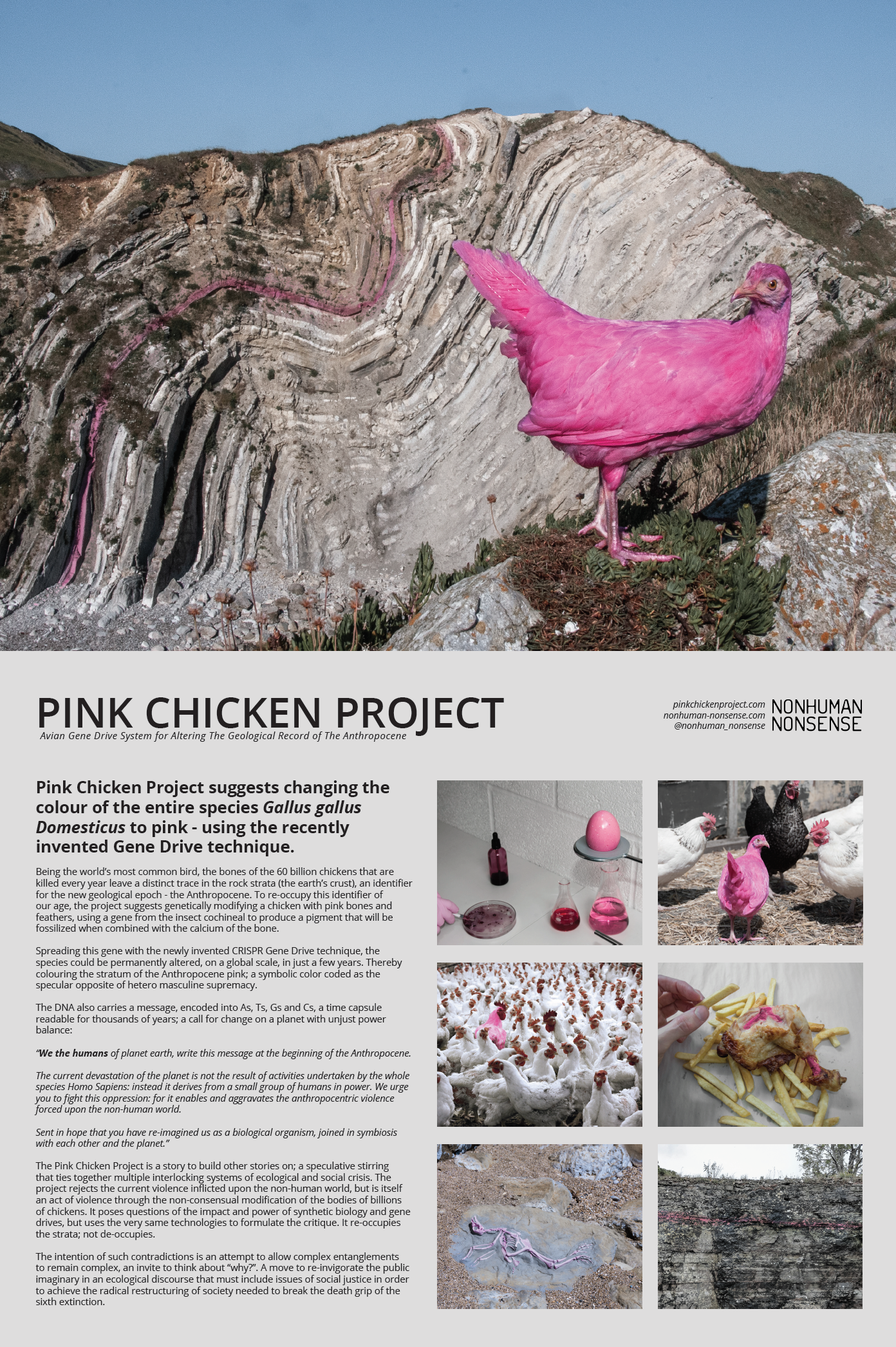 Pink Chicken Project suggests using a “Gene Drive” to change the colour of the entire species Gallus gallus Domesticus to pink. Being the world’s most common bird, the bones of the 60 billion chickens that are killed every year leave a distinct trac…