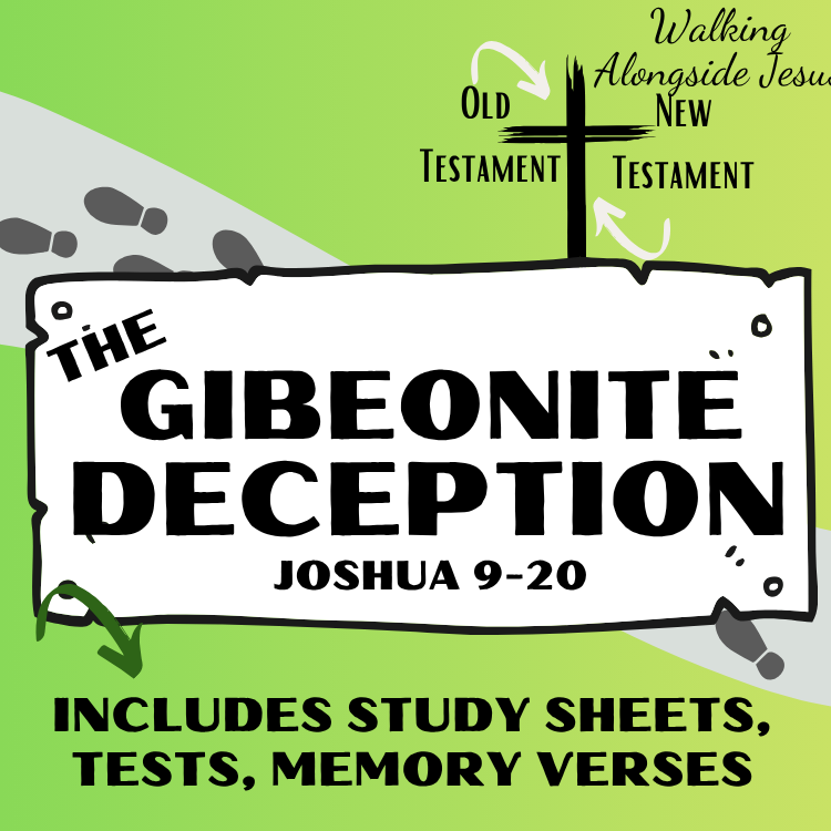 Joshua Lesson 3 Tests and MV.png