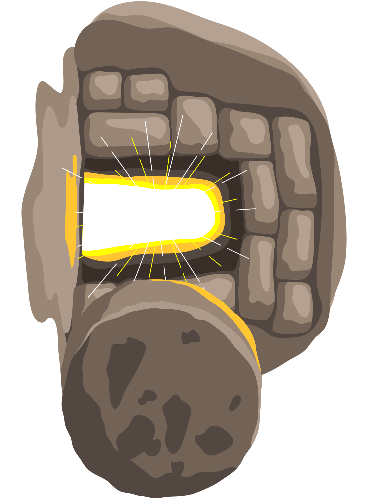 Empty Tomb.png