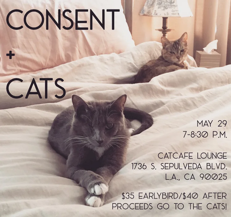 ConsentCats_Social Graphic 1.jpg