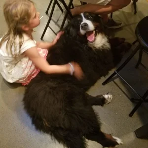 20180615_164821.jpg