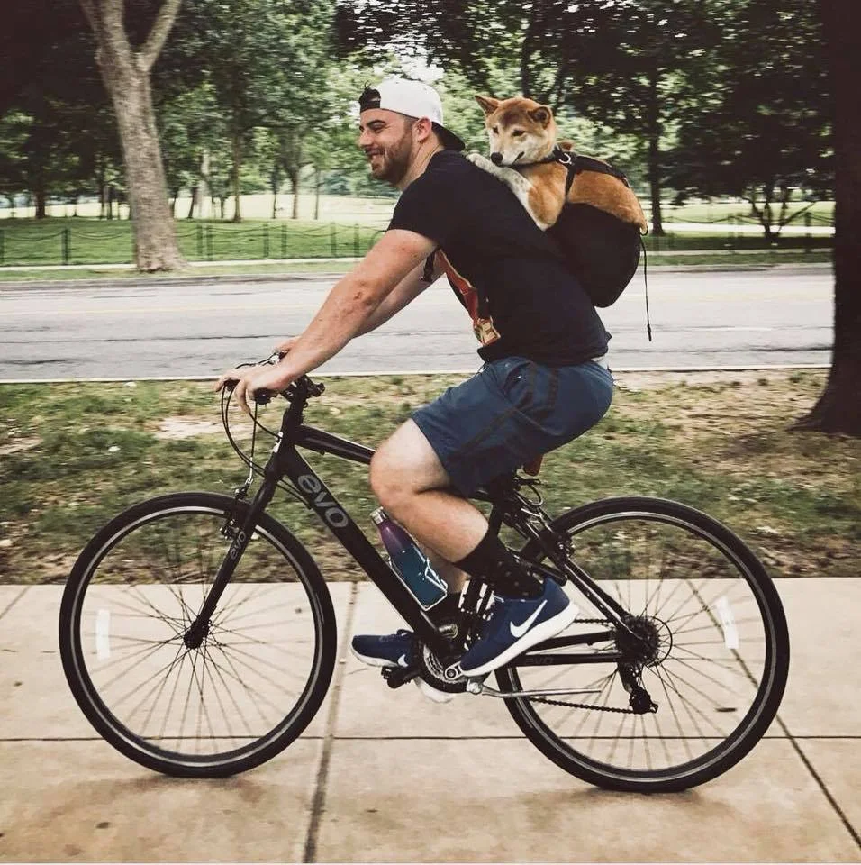 Indy backpack.jpg