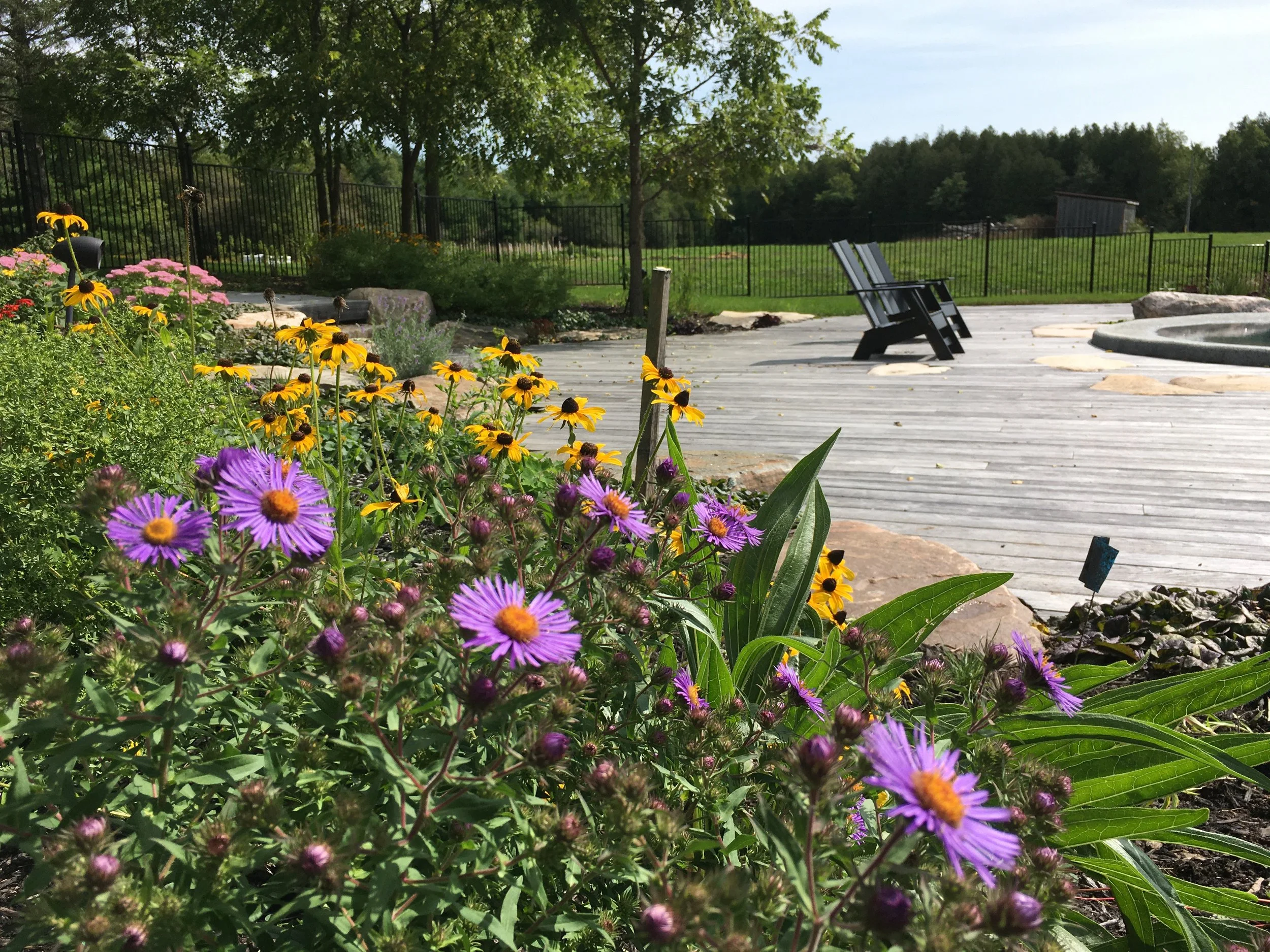 Prairie-Inspired Poolside Garden