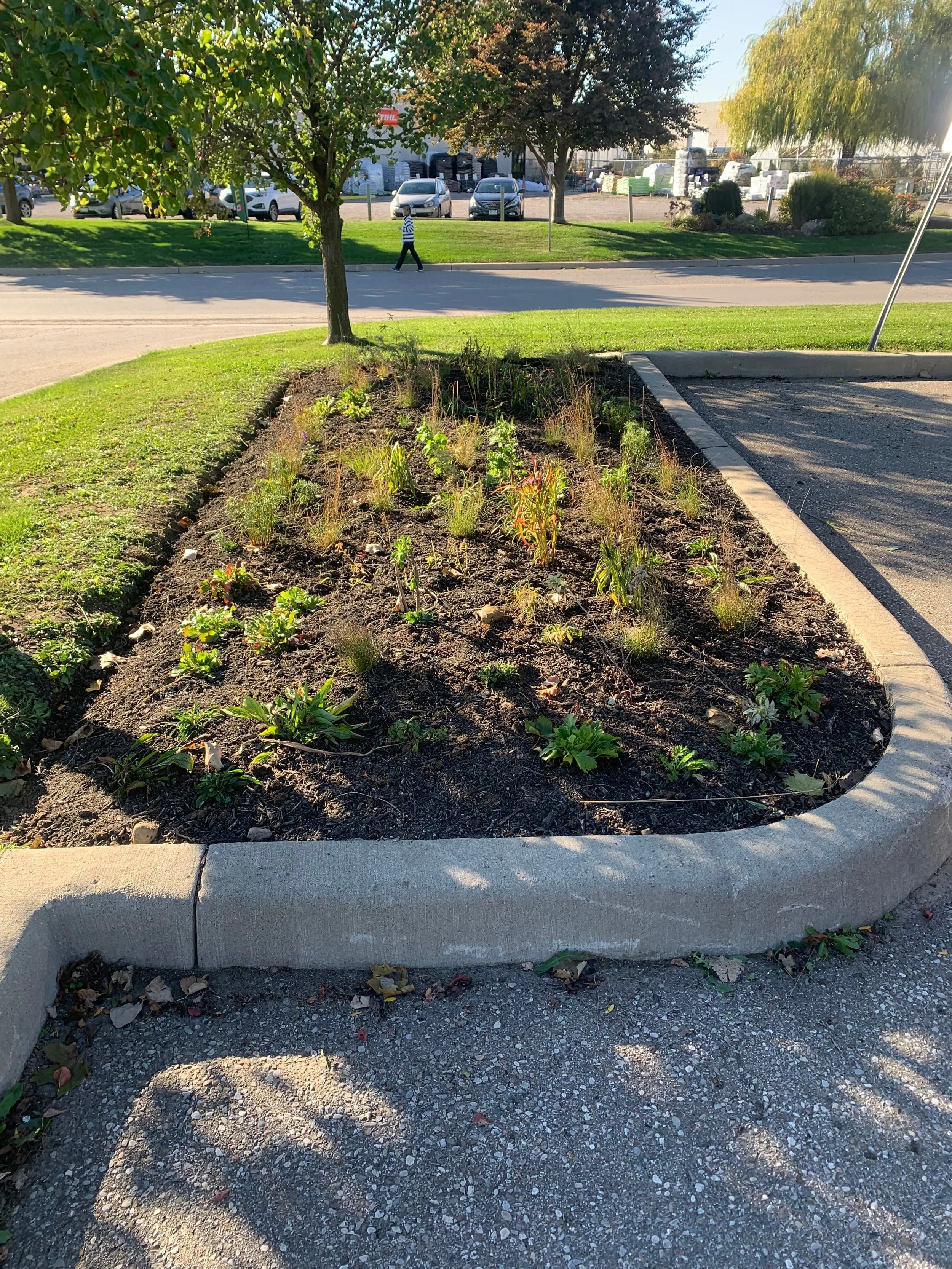 Native Boulevard Garden for a Local Business