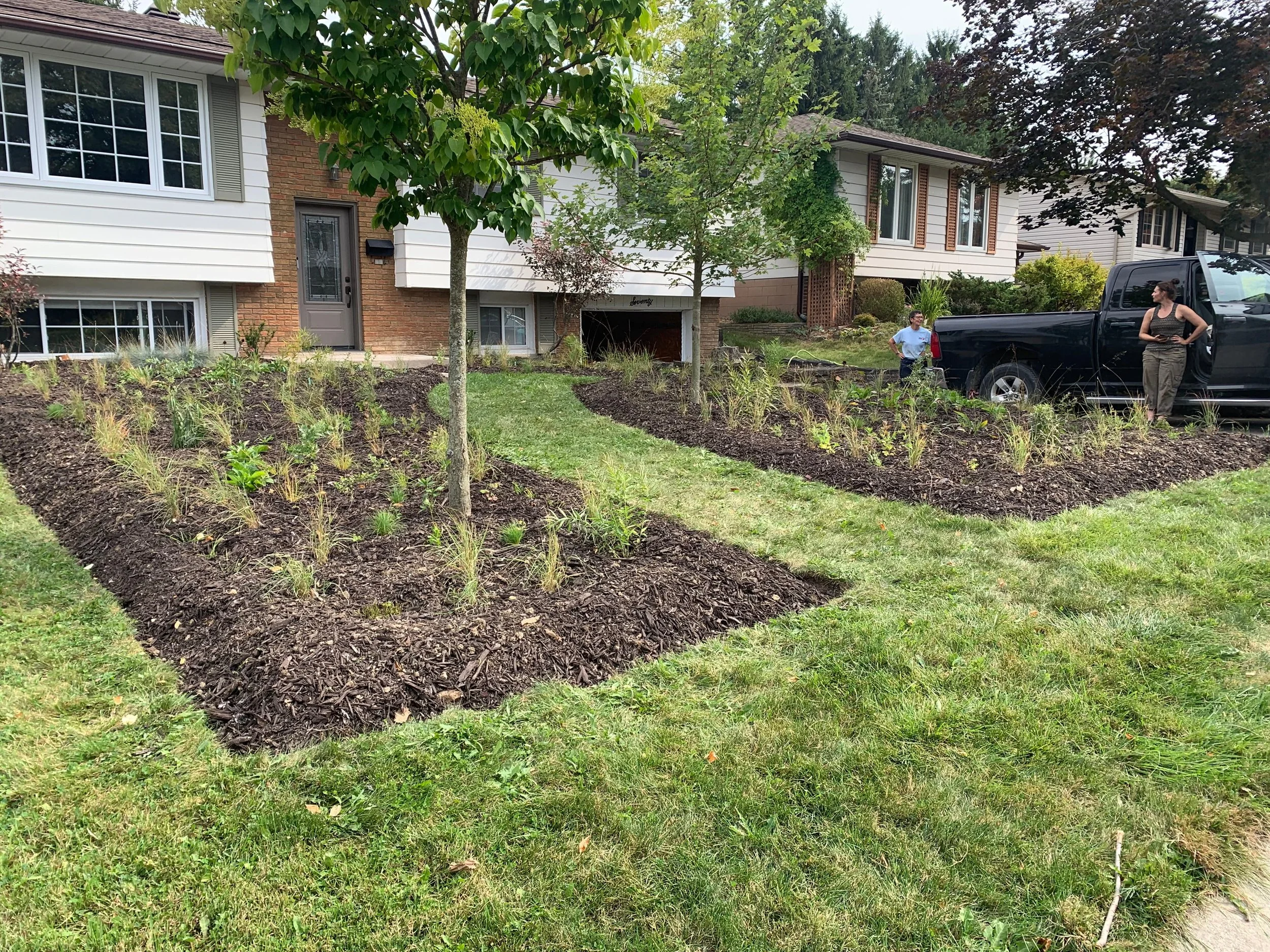 Formal Front Yard With Native Plants