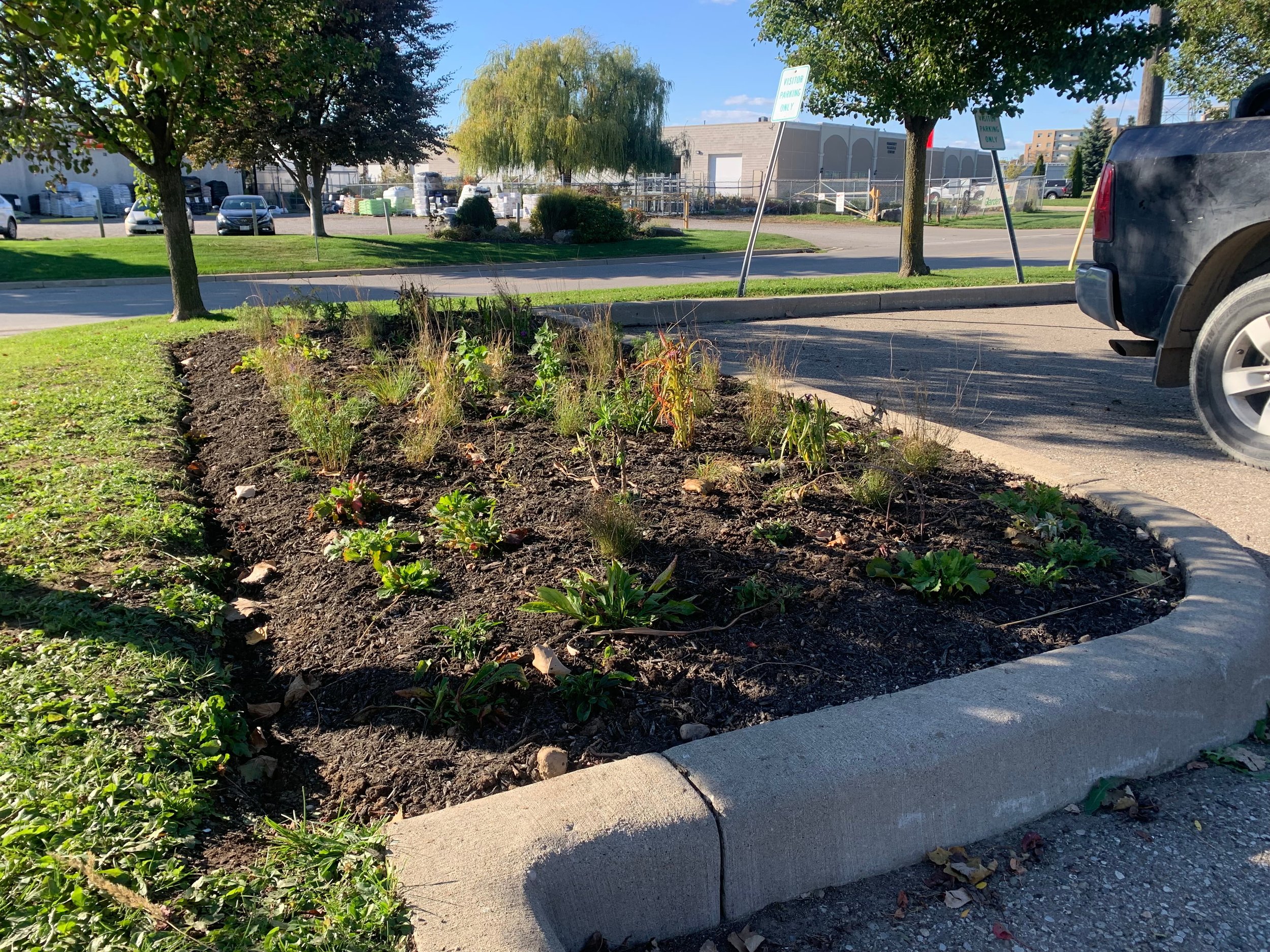 native boulevard garden in parking lot