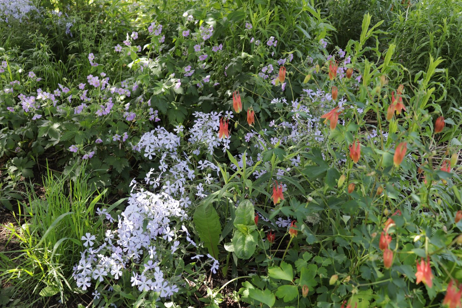 Natural Garden Design | In Our Nature — In Our Nature