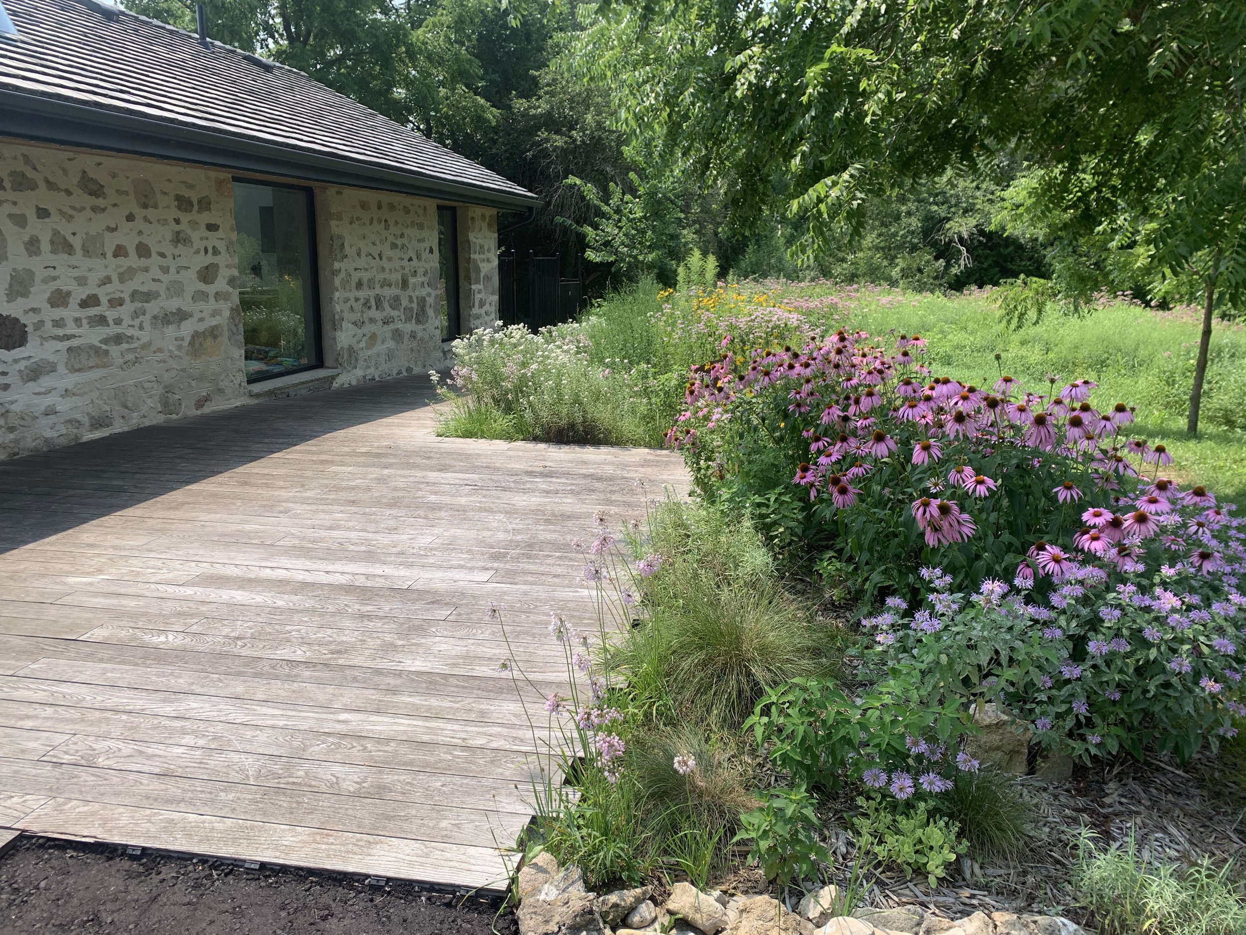 Natural garden designed with native plants