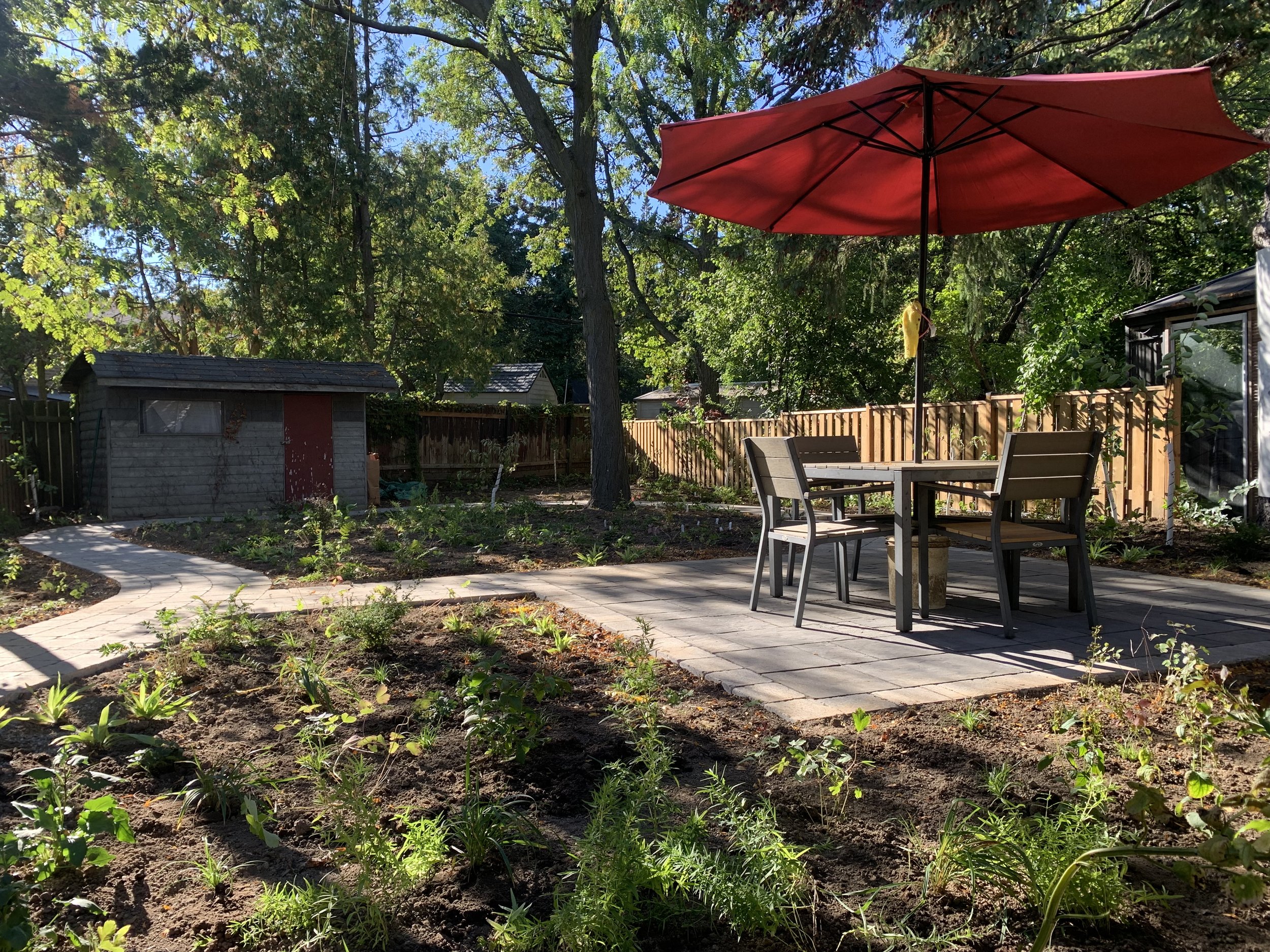 Woodland Garden Retreat in Urban Backyard