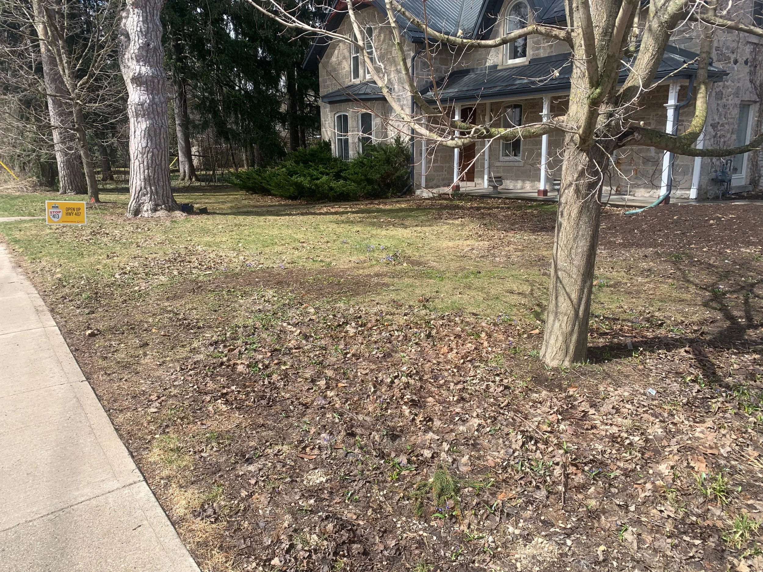 front yard before native plant garden installation