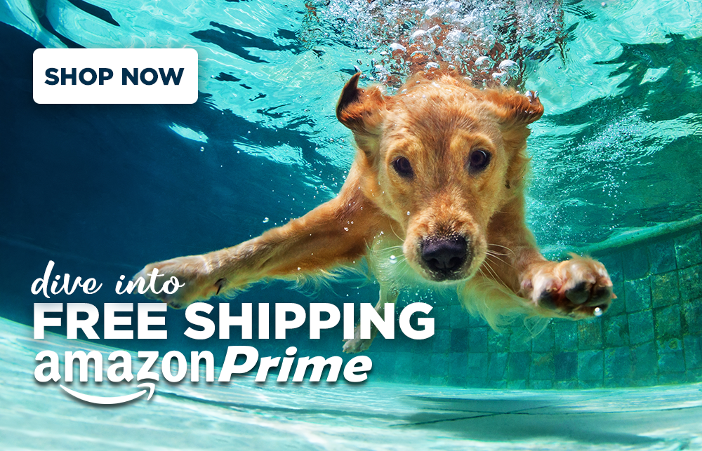 Free Shipping on Amazon
