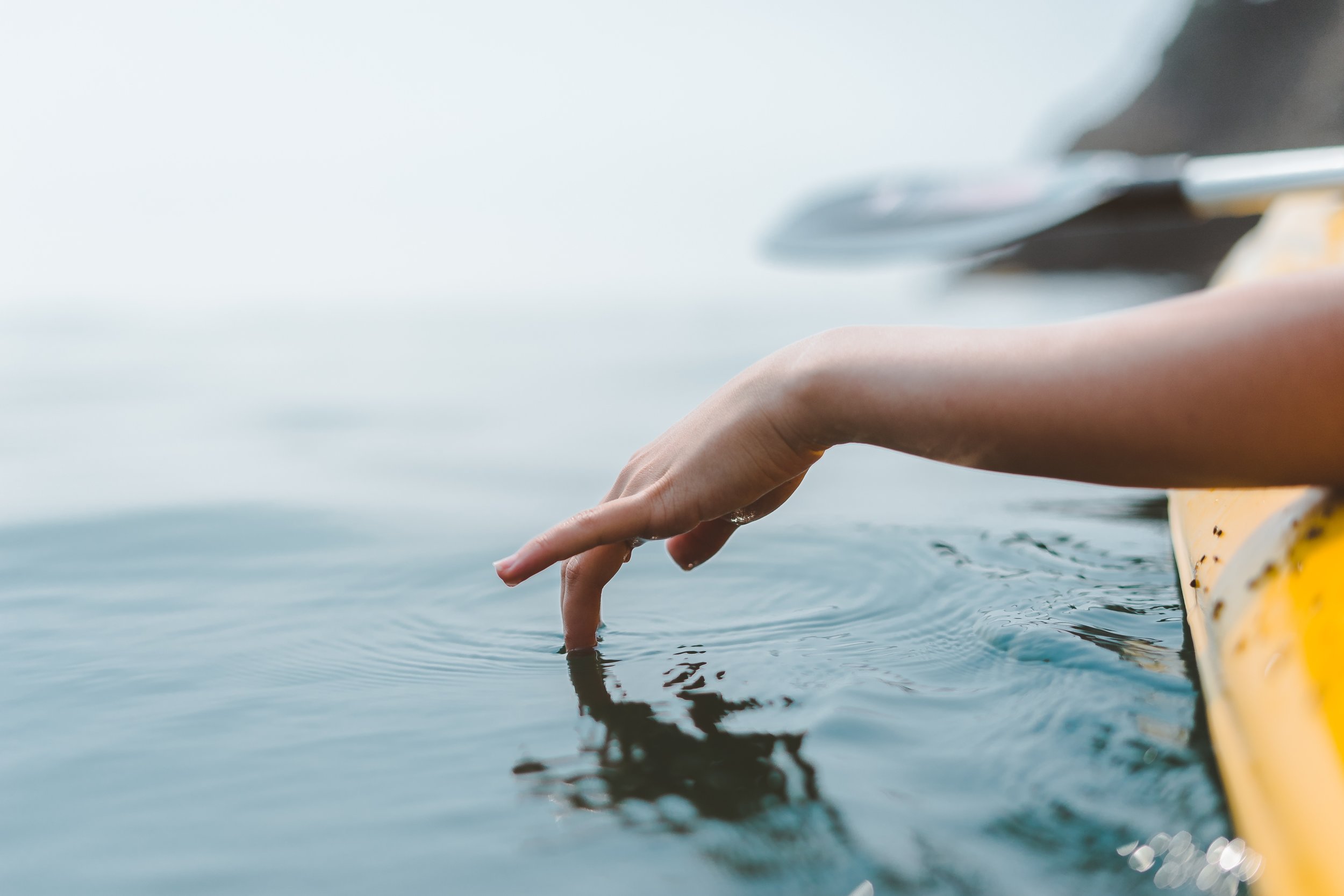 Mid-Week Missive: Made in the Image of God