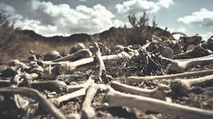 Can These Bones Live?: A Sermon for 5 Lent