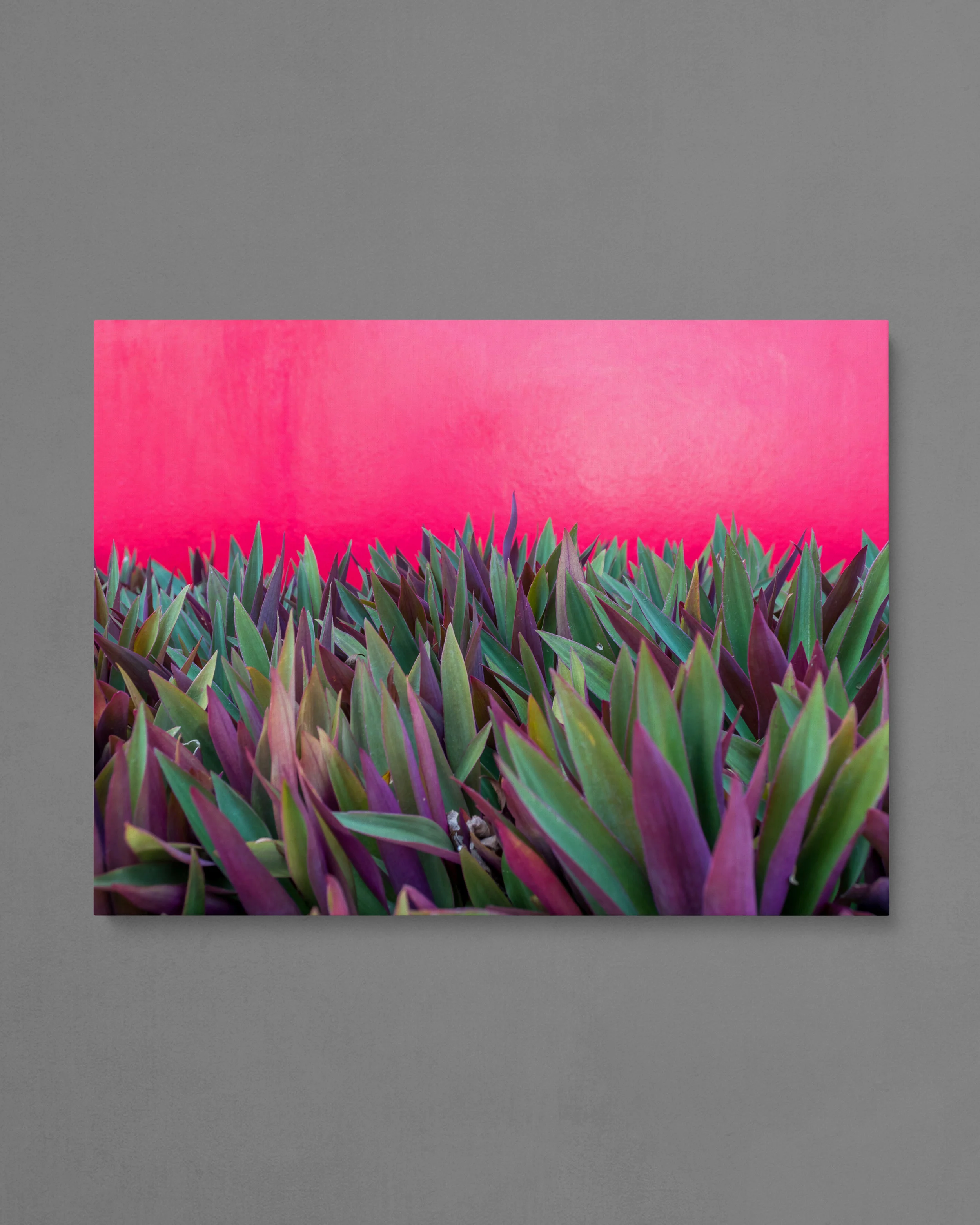 24x18-FRONT---PURPLE-FINGERS.jpg