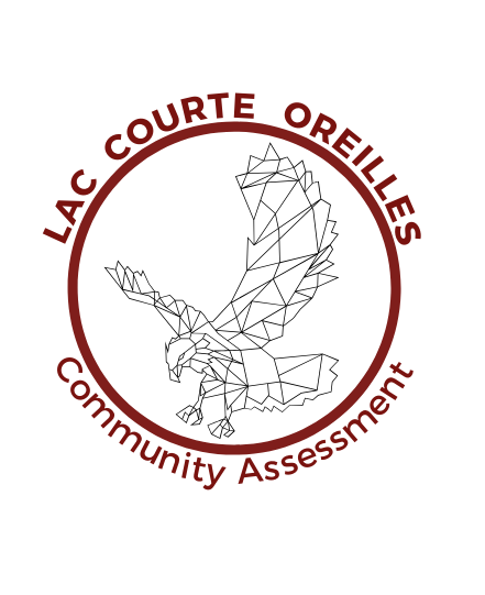 Lac Courte Oreilles Community Assessment — Big Water Consulting
