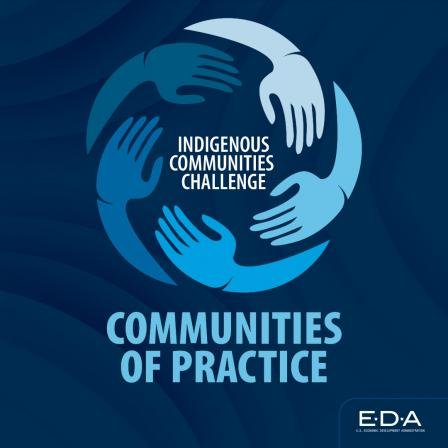 indigenous-communities-challenge-communities-of-practice-icc-cop.png