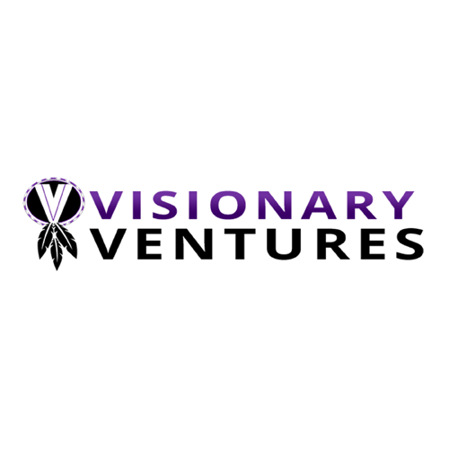 visonary ventures logo.png