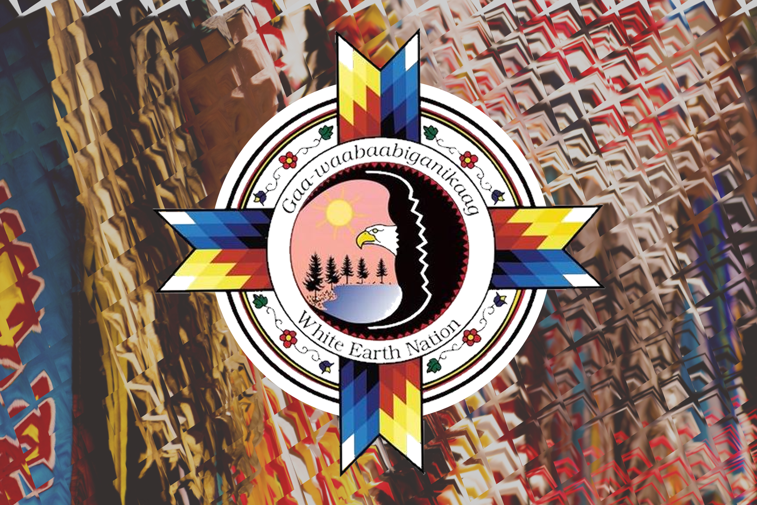 White Earth Comprehensive Planning Initiative