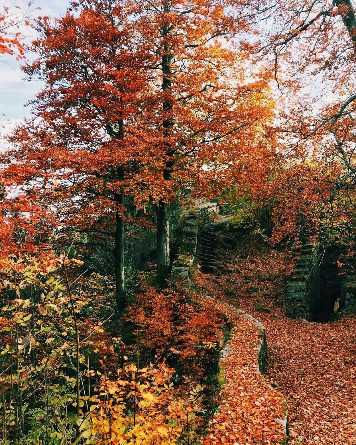 Living Trees

46.8139&deg; N, 71.2080&deg; W

180845SEPT2019
-
-
Shot on the iPhone 11 Pro
-
-
#igdaily #ig_masterpiece #igers #agameoftones #artofvisuals #illgrammers #moodygrams #visualambassadors #shotzdelight #theimaged #heatercentral #milliondol