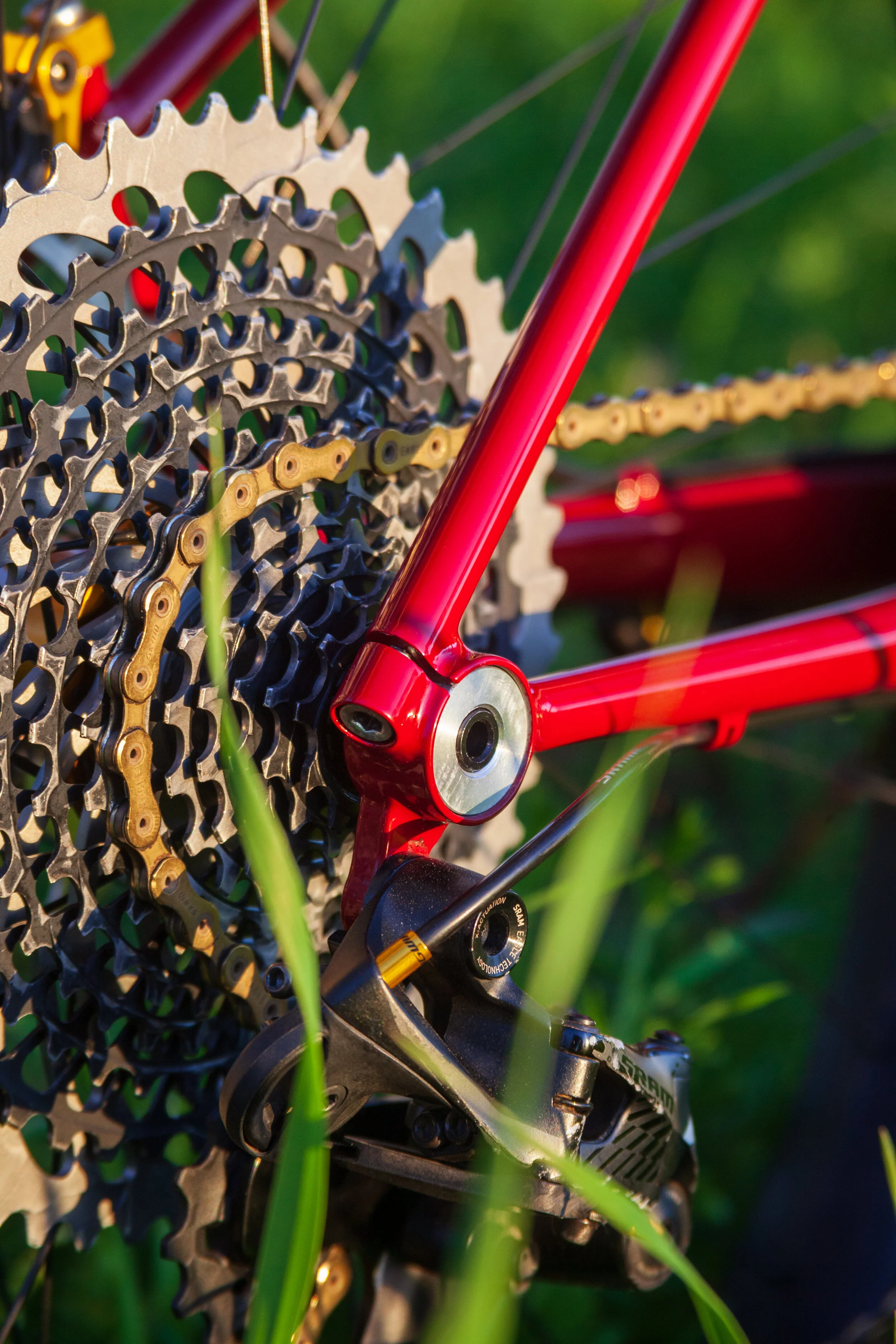 red hardtail-15.JPG