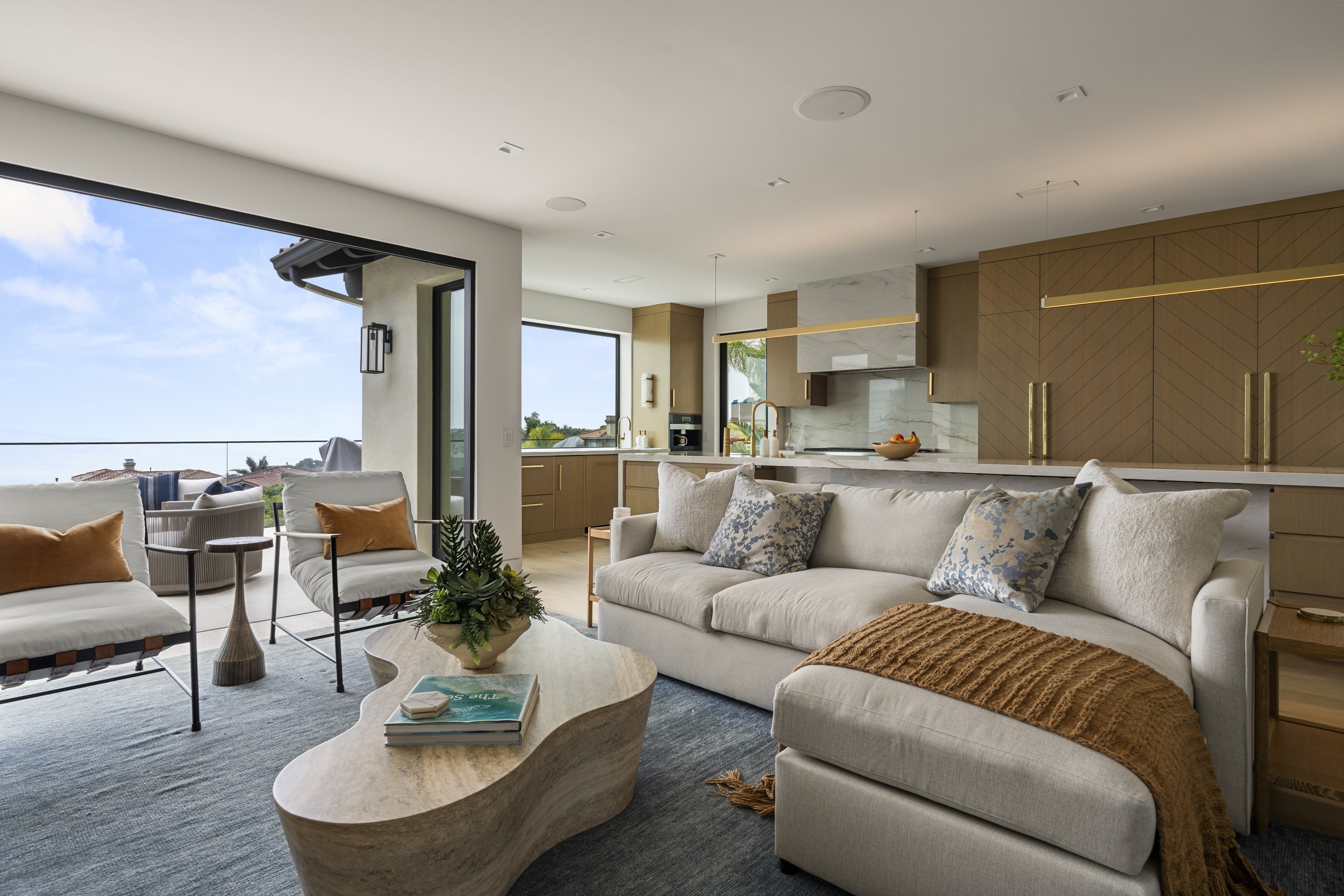 Newport Coast Modern Living Room & Kitchen.JPG
