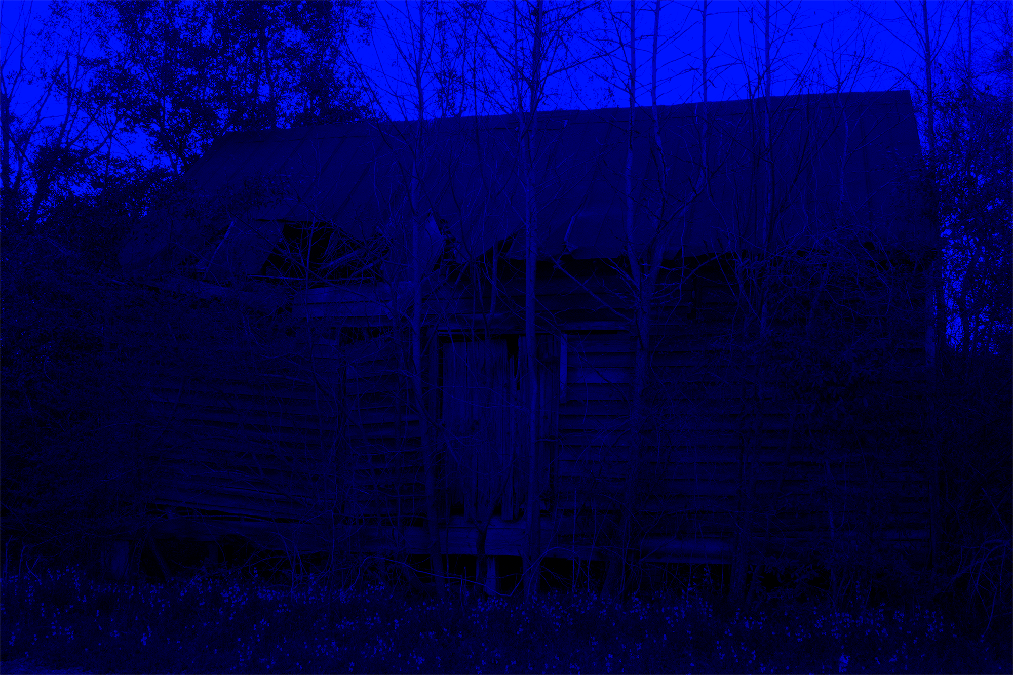 Slave Cabin (Orangeburg, SC)