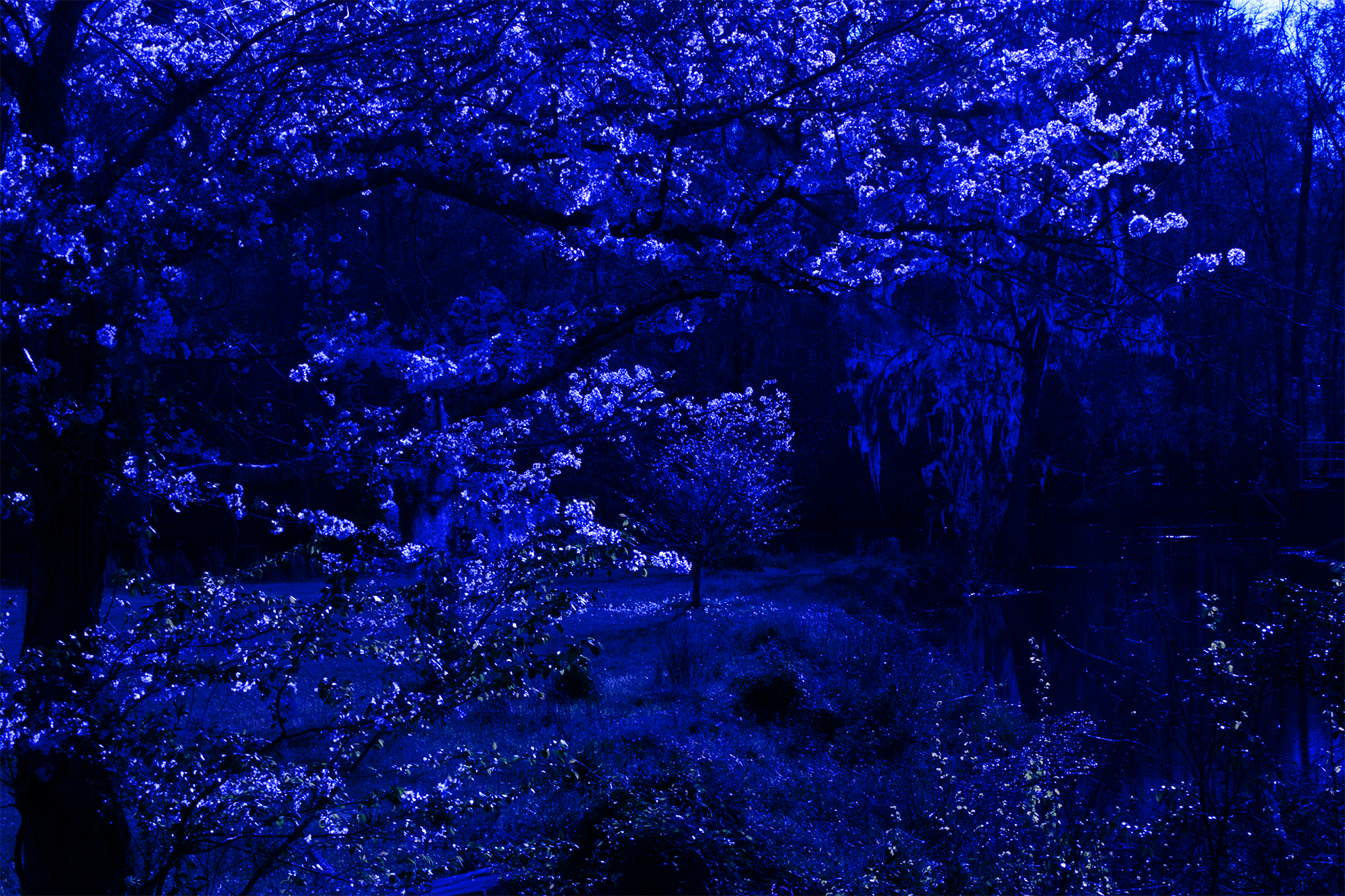 The Water Remembers II