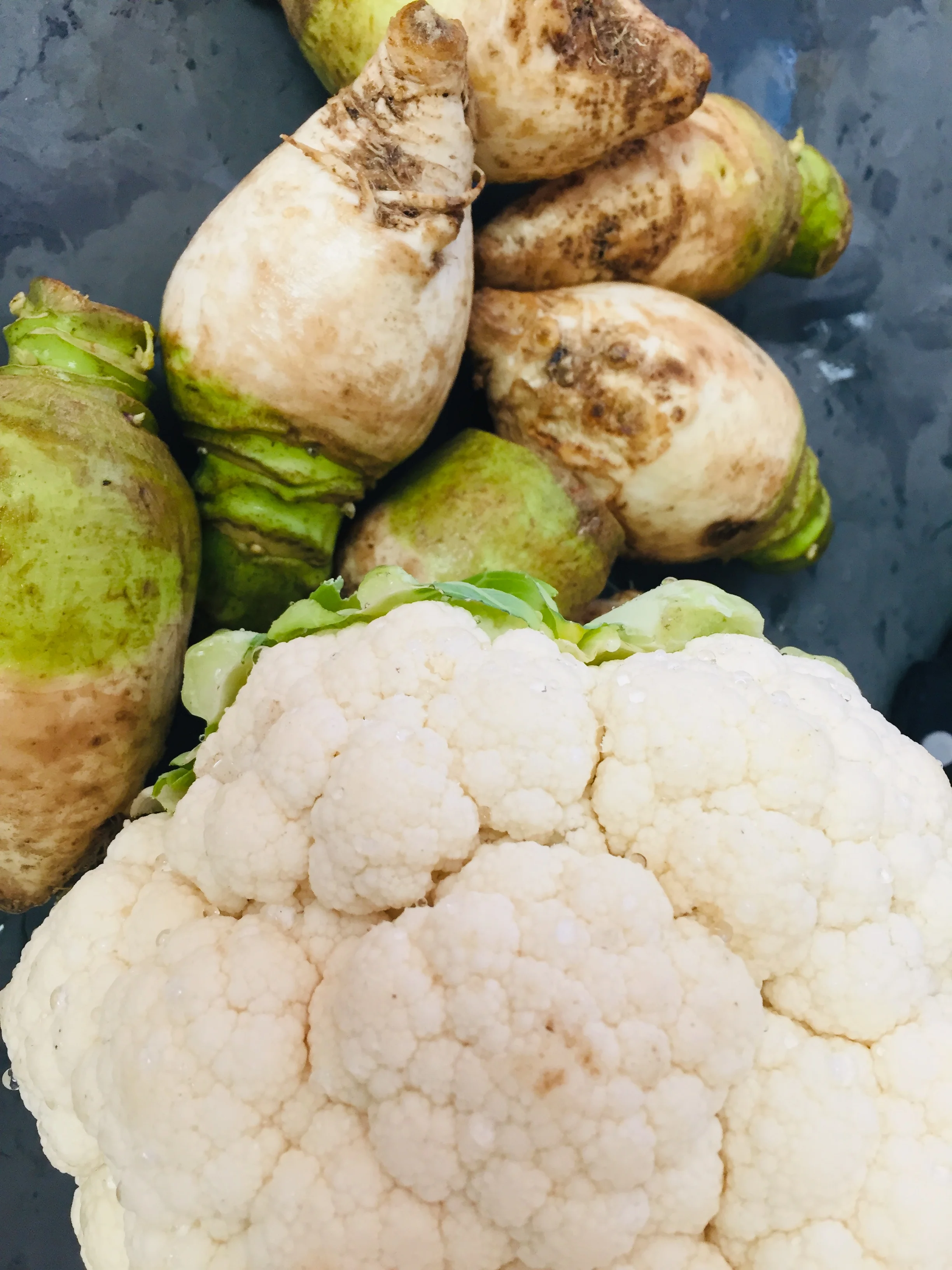 Vege Joy Personal Chef Roxane —PlantBased Shepherd's Pie Crowned with