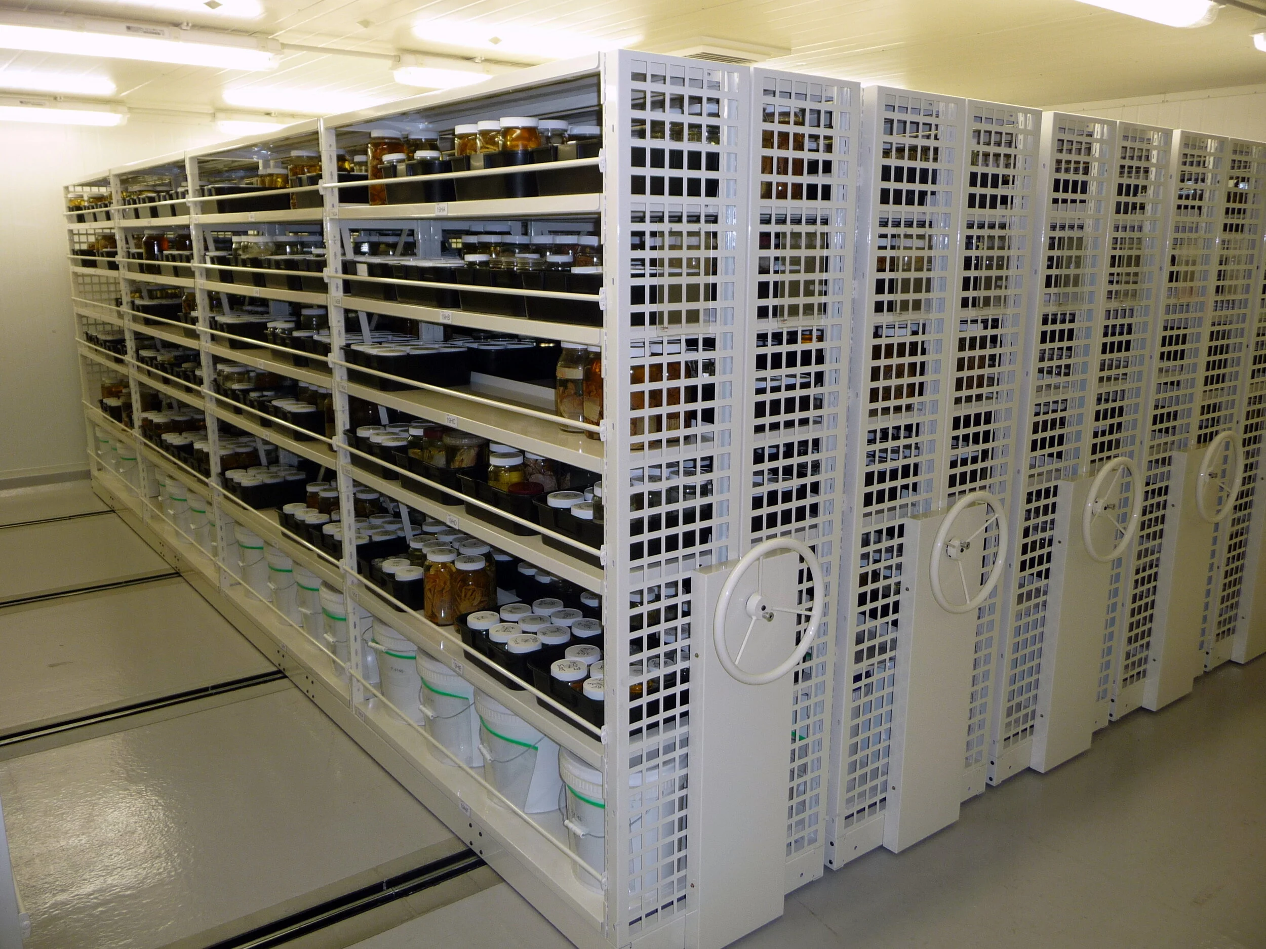 Longspan on Mech Asst Mobiles -125 - Copy.JPG