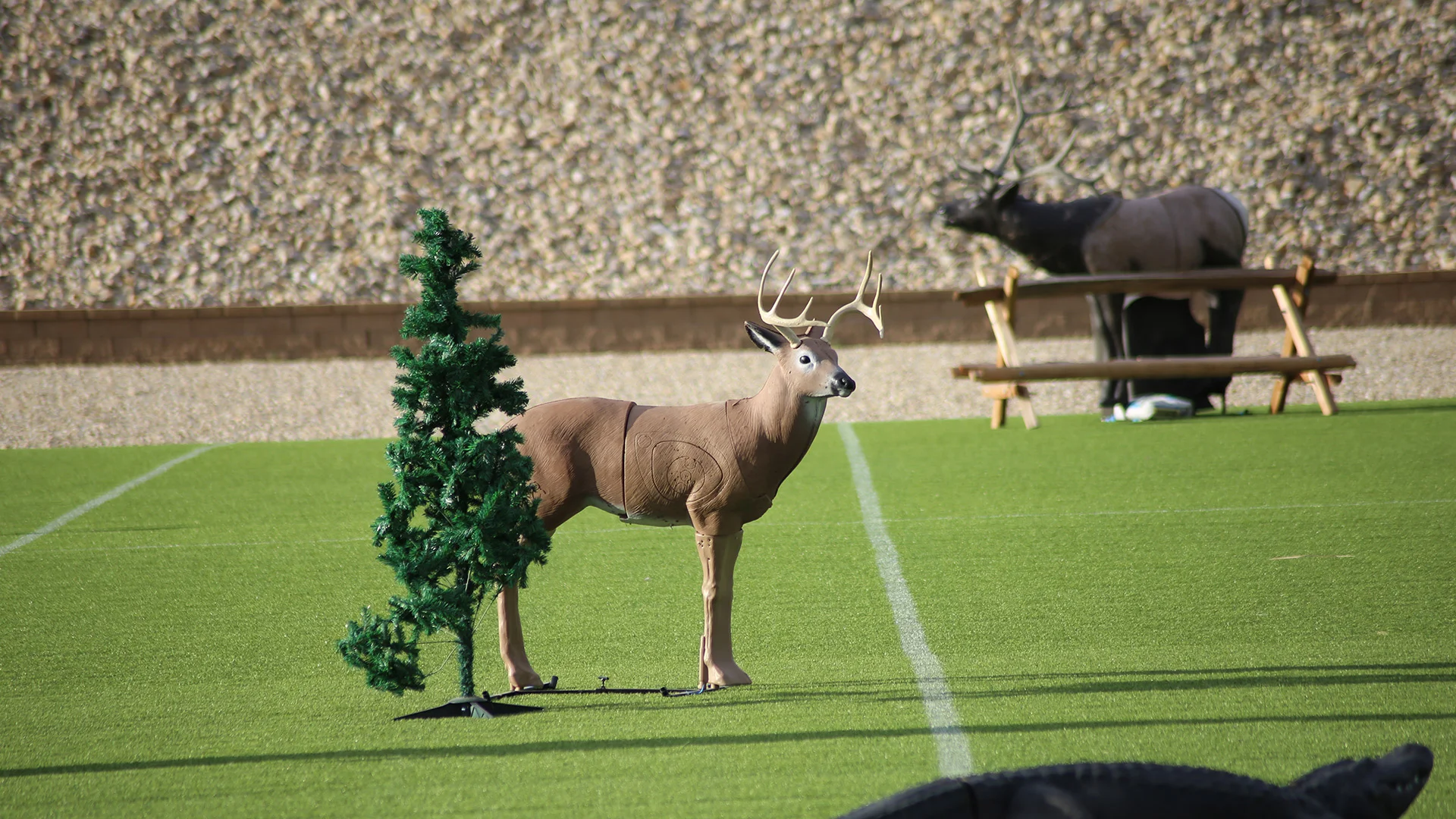3D-Archery-Header.jpg