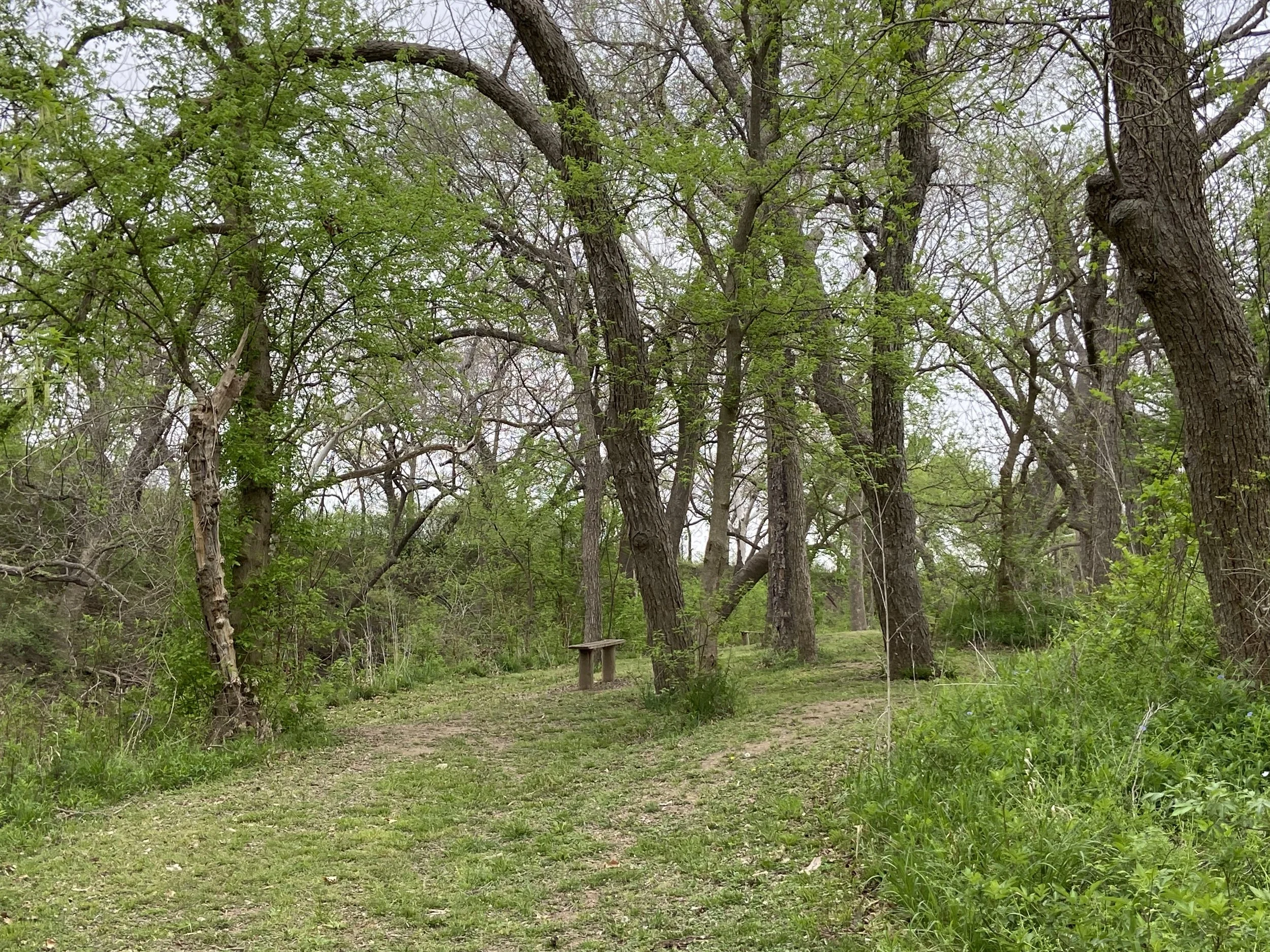 Swimming hole entrance.jpeg