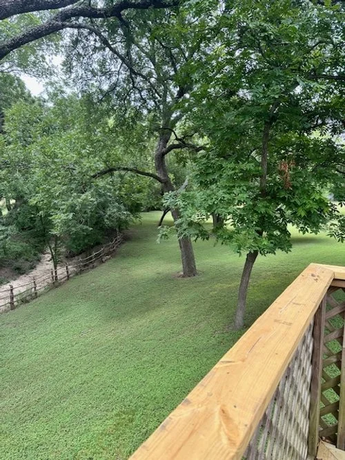 BZ side yard.jpg