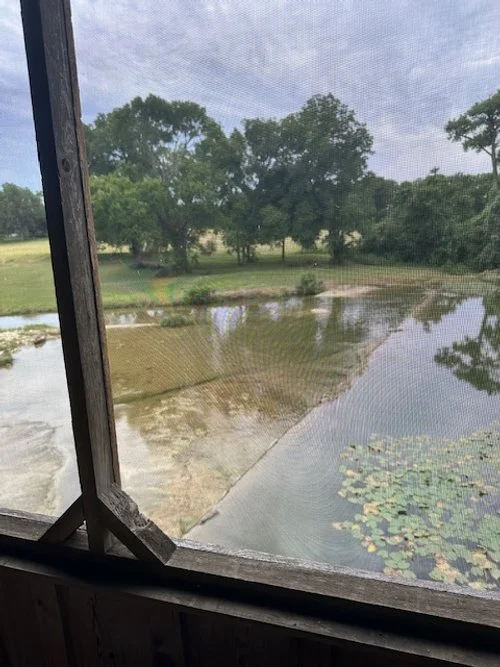 MH waterview.jpg
