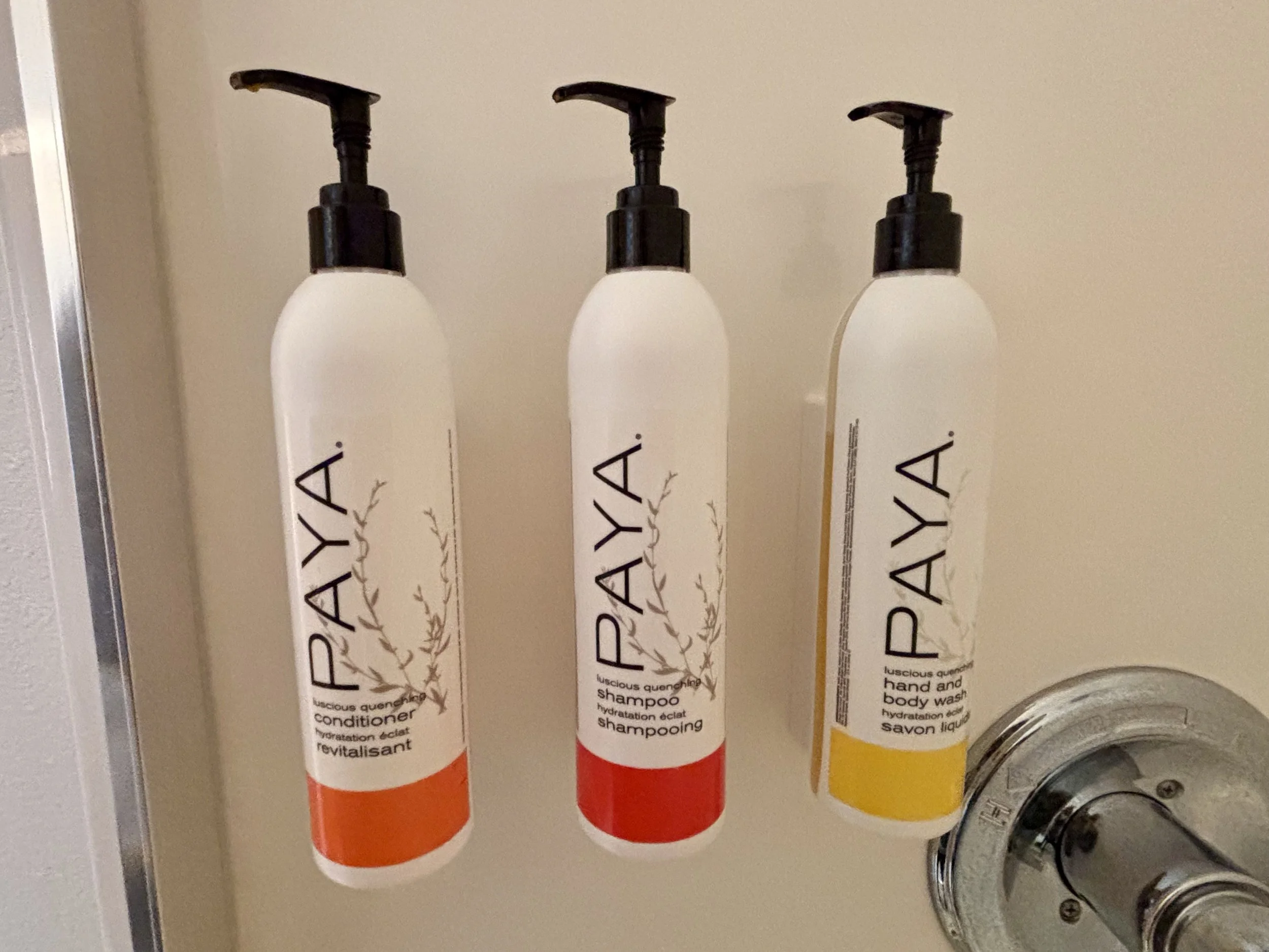 Paya in shower at HD.jpeg