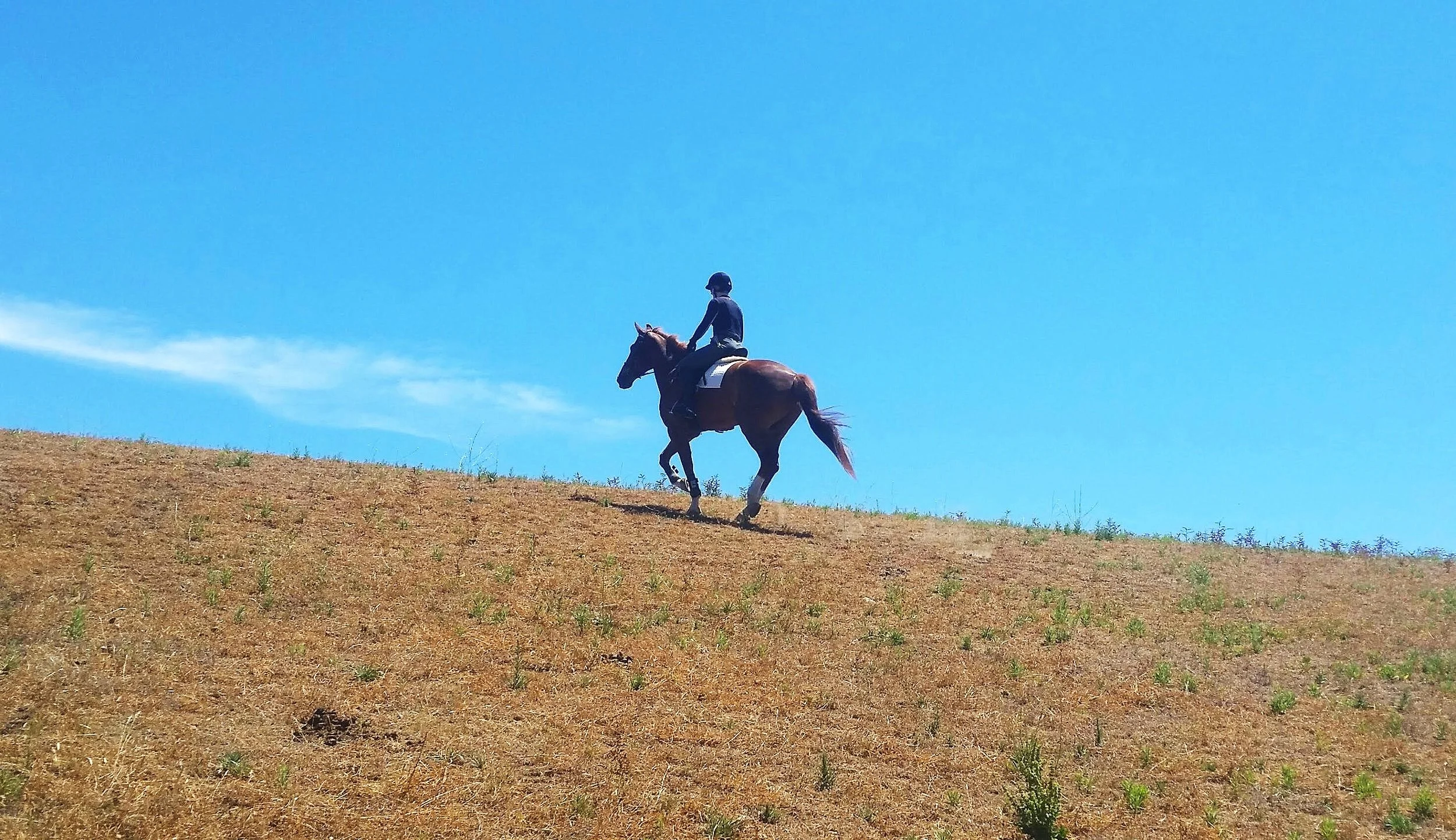 20150619_115345-1.jpg
