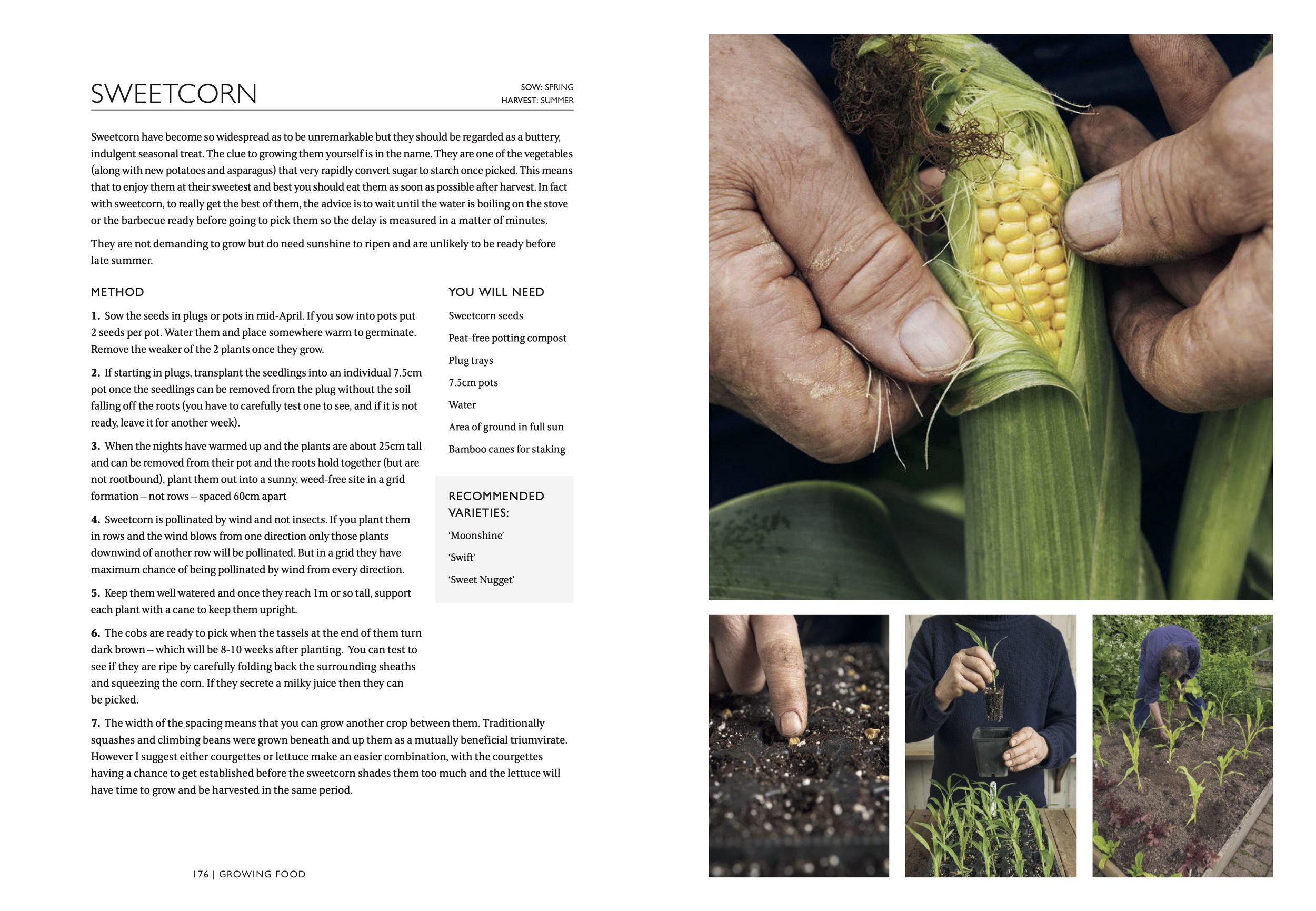 Monty Don The Gardening Book PDF (dragged) 4.jpg