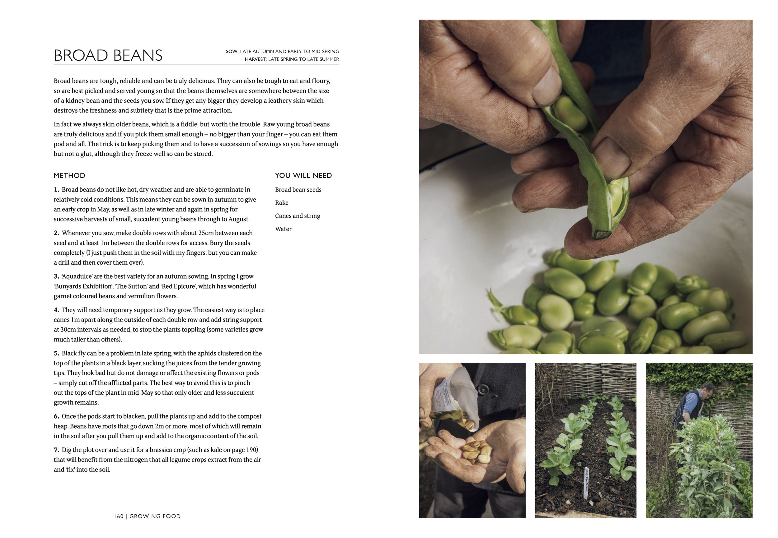 Monty Don The Gardening Book PDF (dragged) 6.jpg