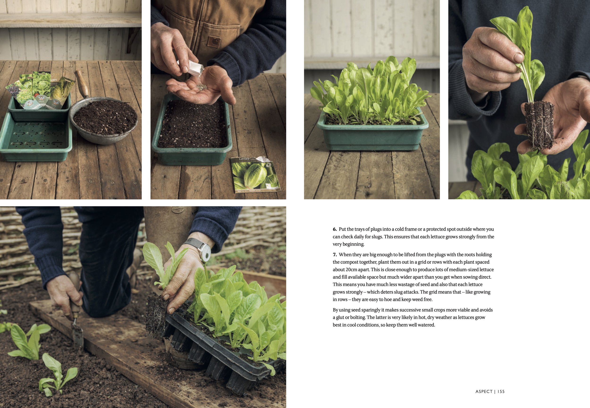 Monty Don The Gardening Book PDF (dragged) 7.jpg